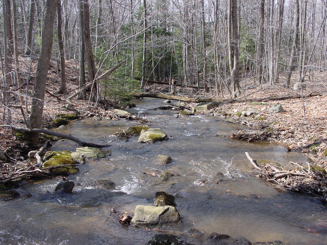 Field photo showing stream conditions at site GEOR-107-R-2003-2