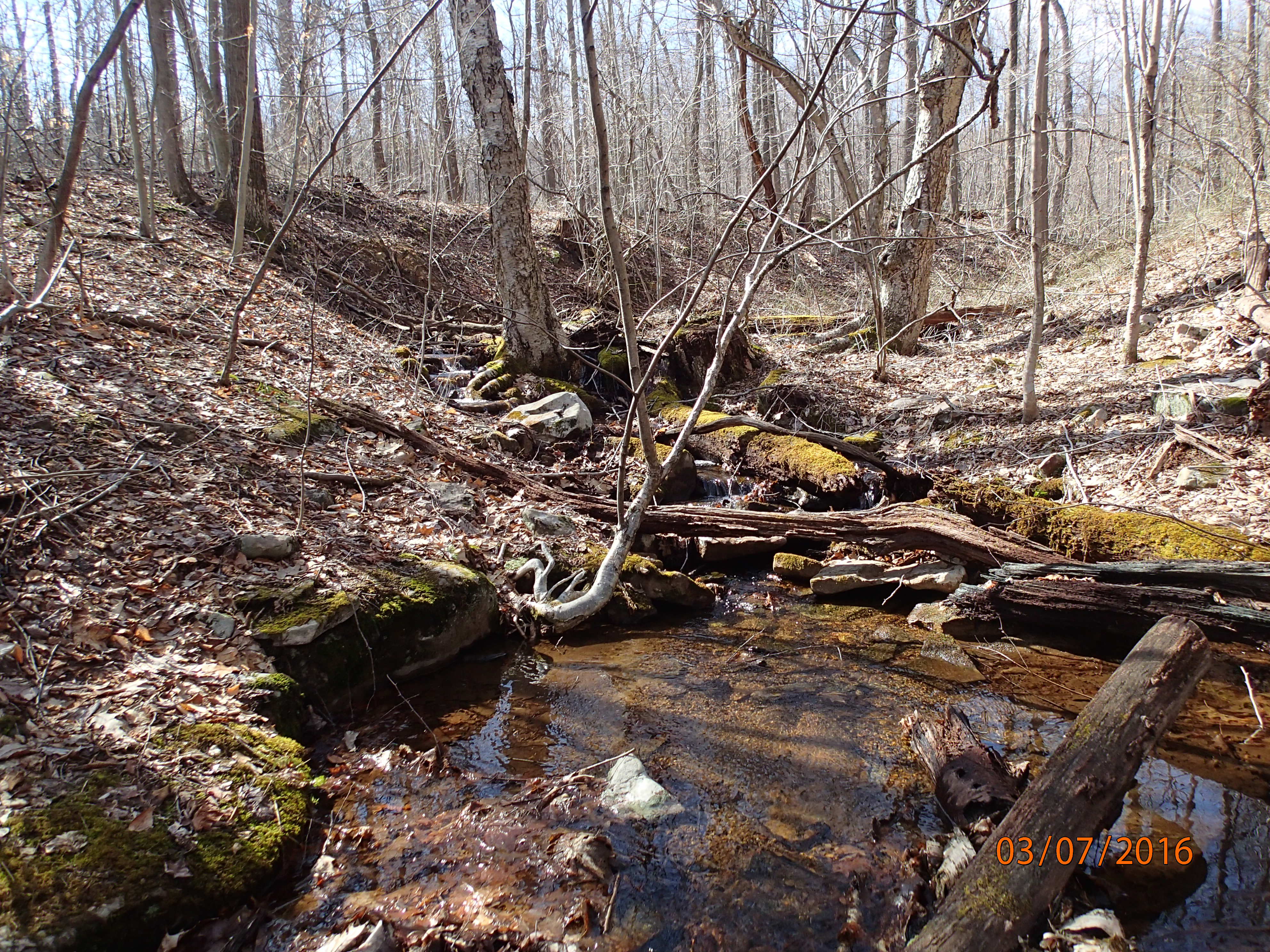 Field photo showing stream conditions at site GEOR-109-R-2016-MidpointUpstream
