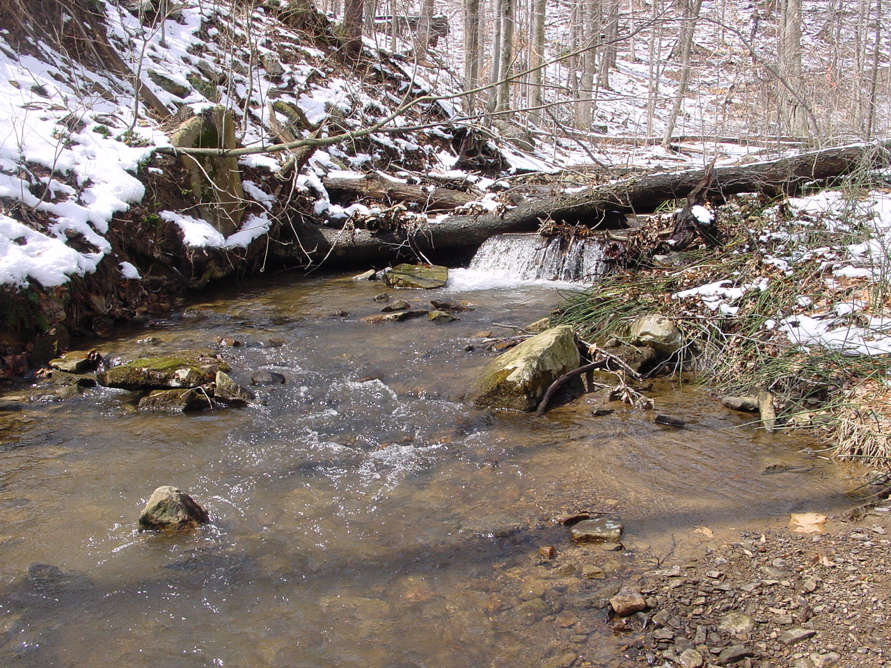 Field photo showing stream conditions at site GEOR-114-R-2003-1