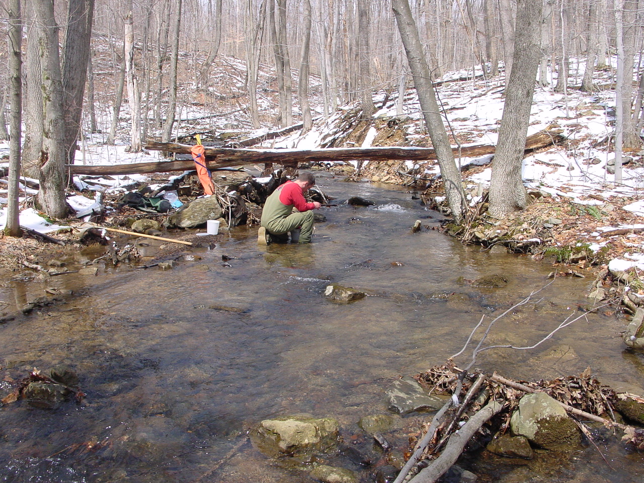 Field photo showing stream conditions at site GEOR-114-R-2003-2