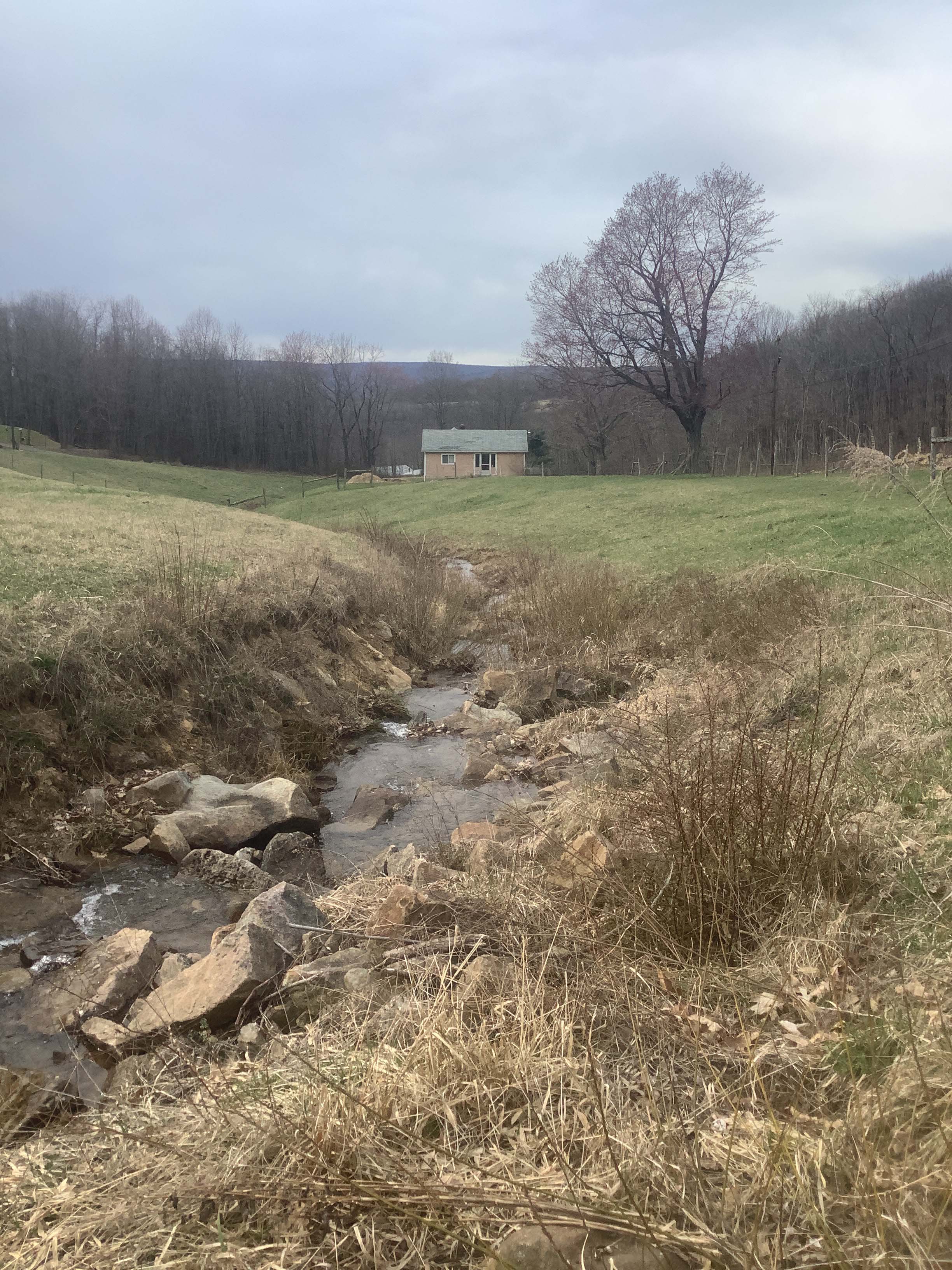 Field photo showing stream conditions at site GEOR-124-R-2023_Midpoint_facing_downstream_