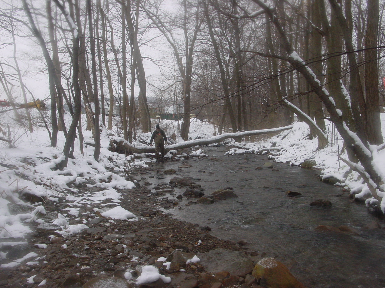 Field photo showing stream conditions at site GEOR-208-R-2003-1