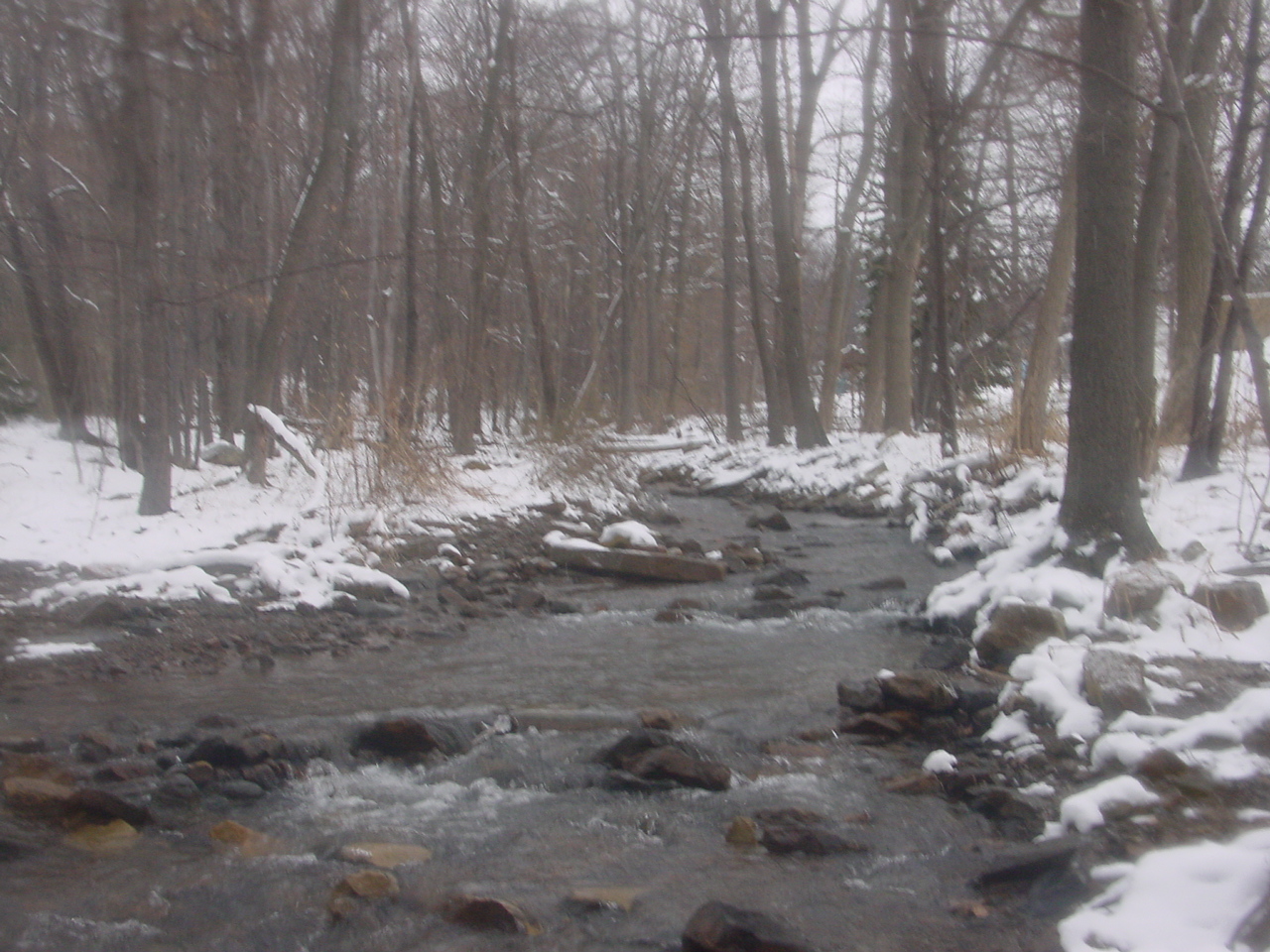 Field photo showing stream conditions at site GEOR-208-R-2003-2