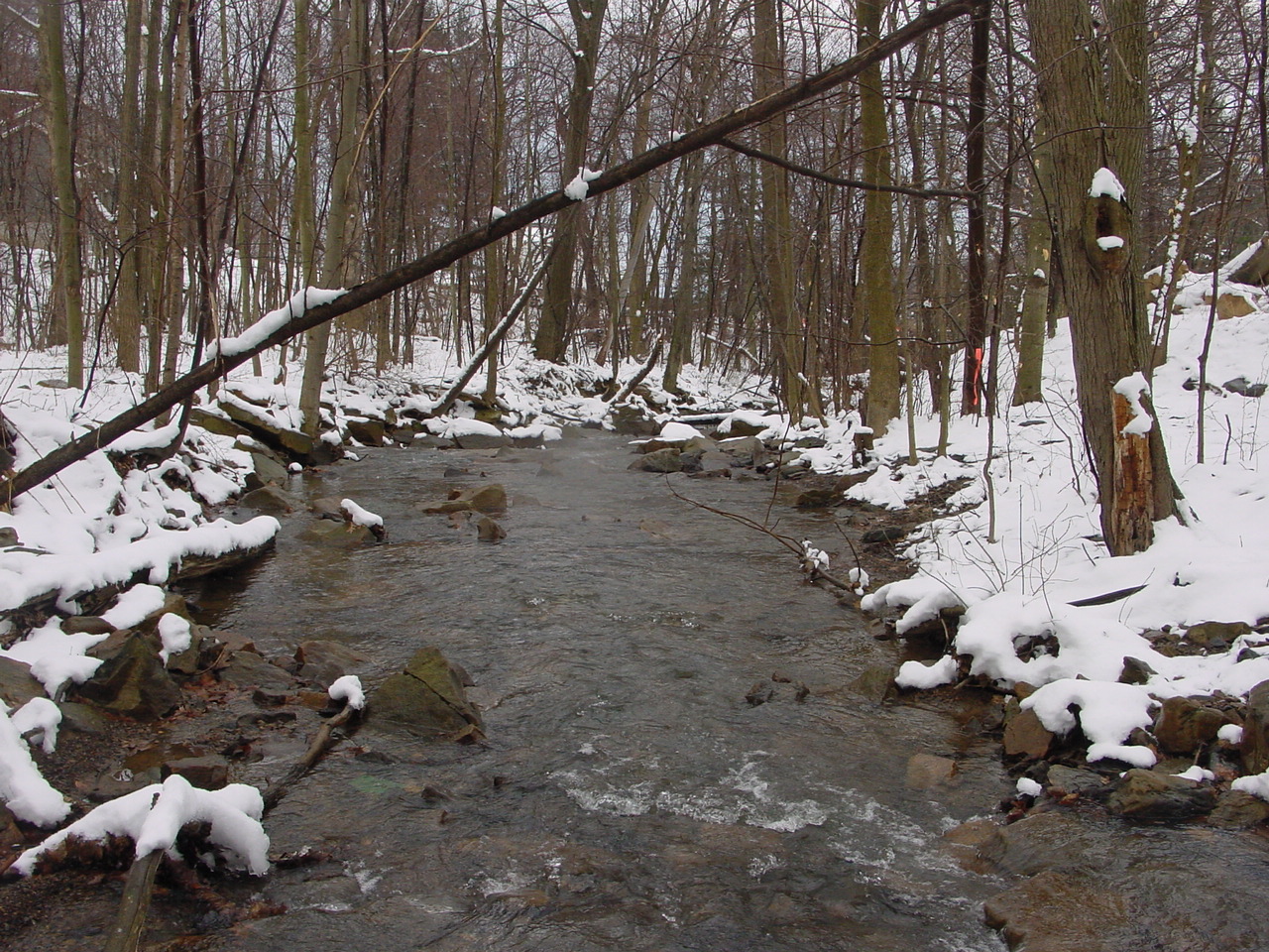 Field photo showing stream conditions at site GEOR-209-R-2003-1