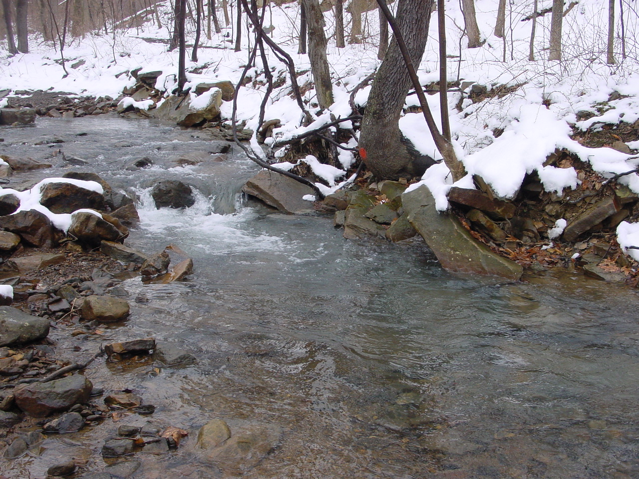 Field photo showing stream conditions at site GEOR-209-R-2003-3