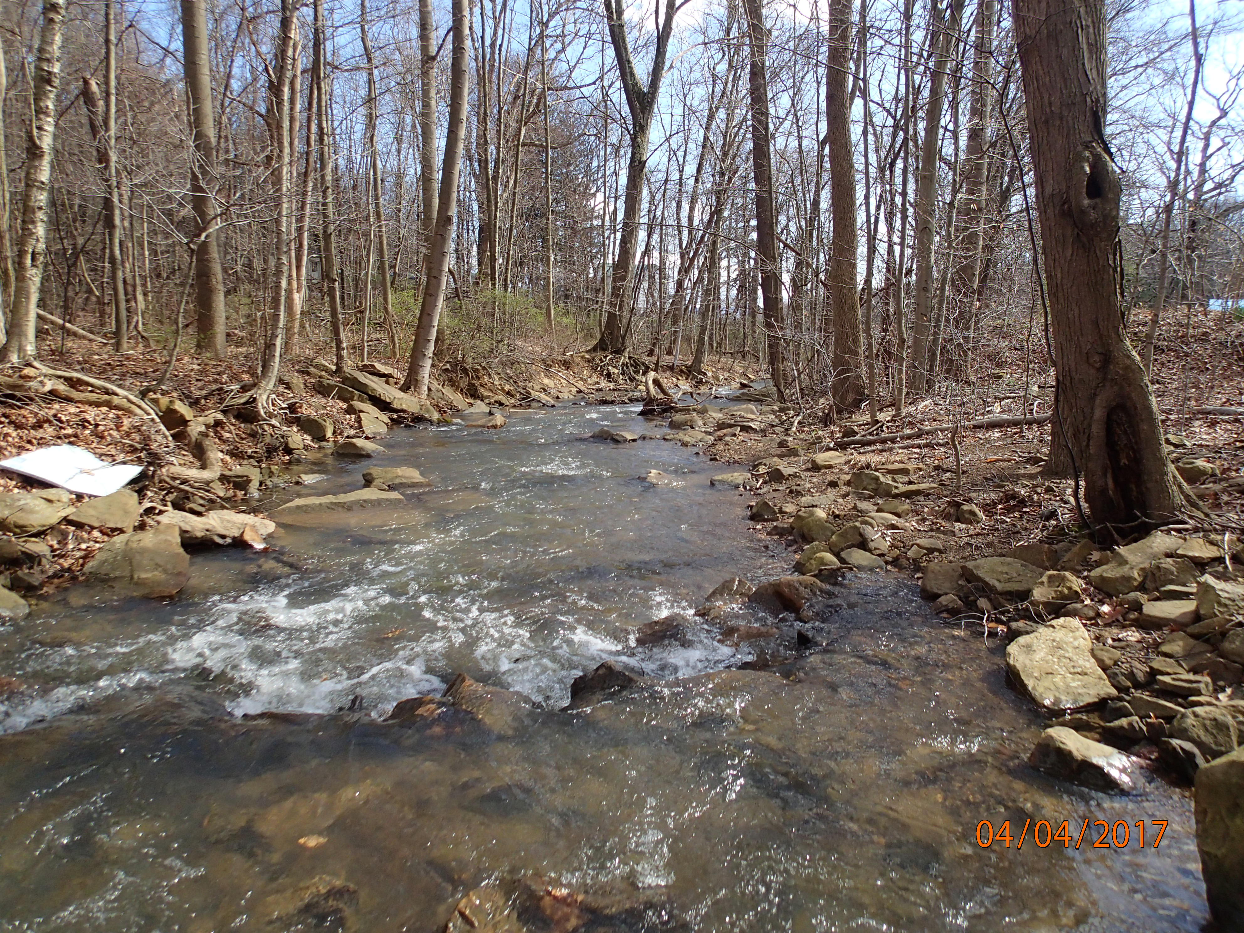 Field photo showing stream conditions at site GEOR-209-R-2017-MidpointDownstream
