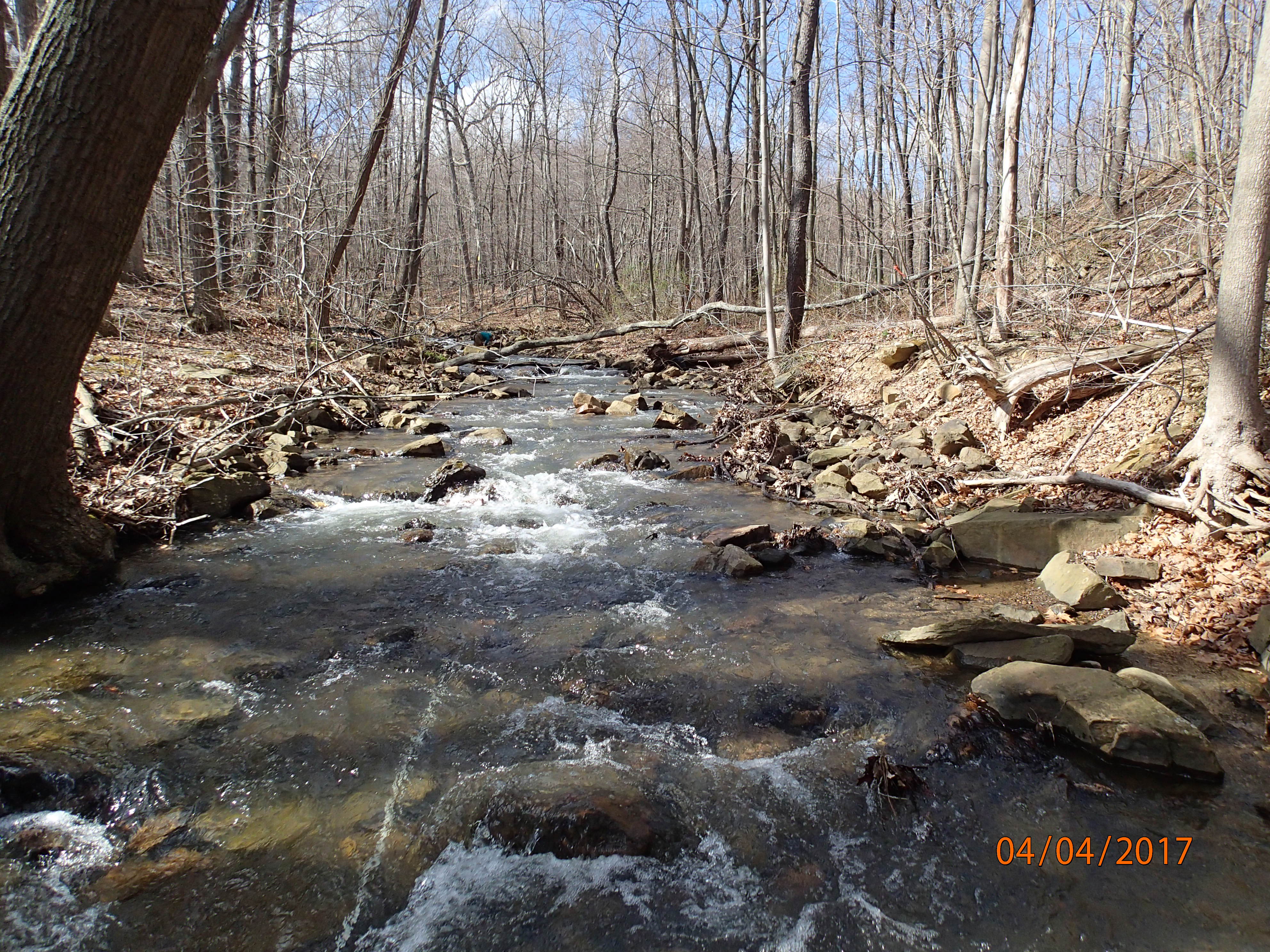 Field photo showing stream conditions at site GEOR-209-R-2017-MidpointUpstream