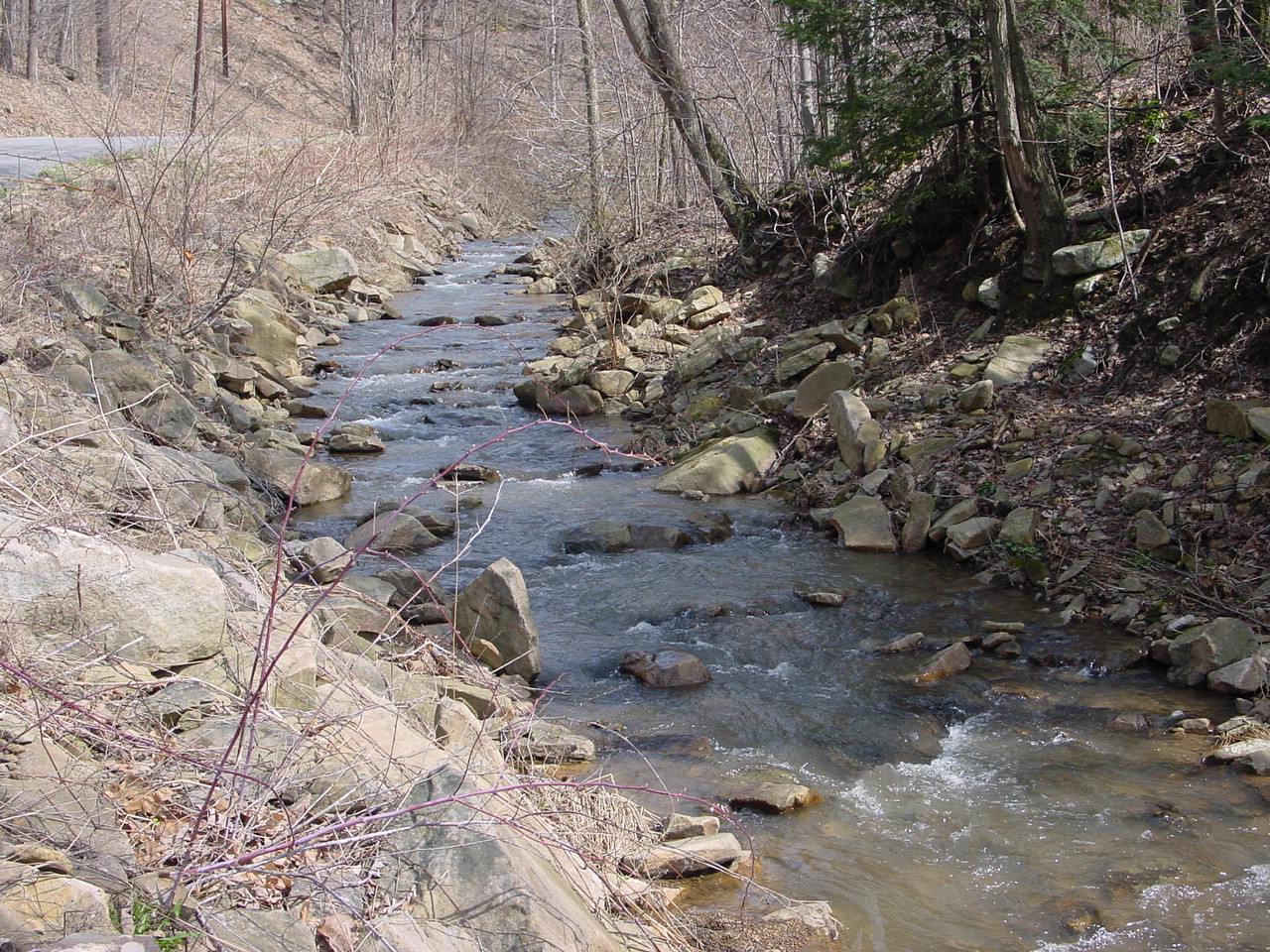 Field photo showing stream conditions at site GEOR-211-R-2003-1