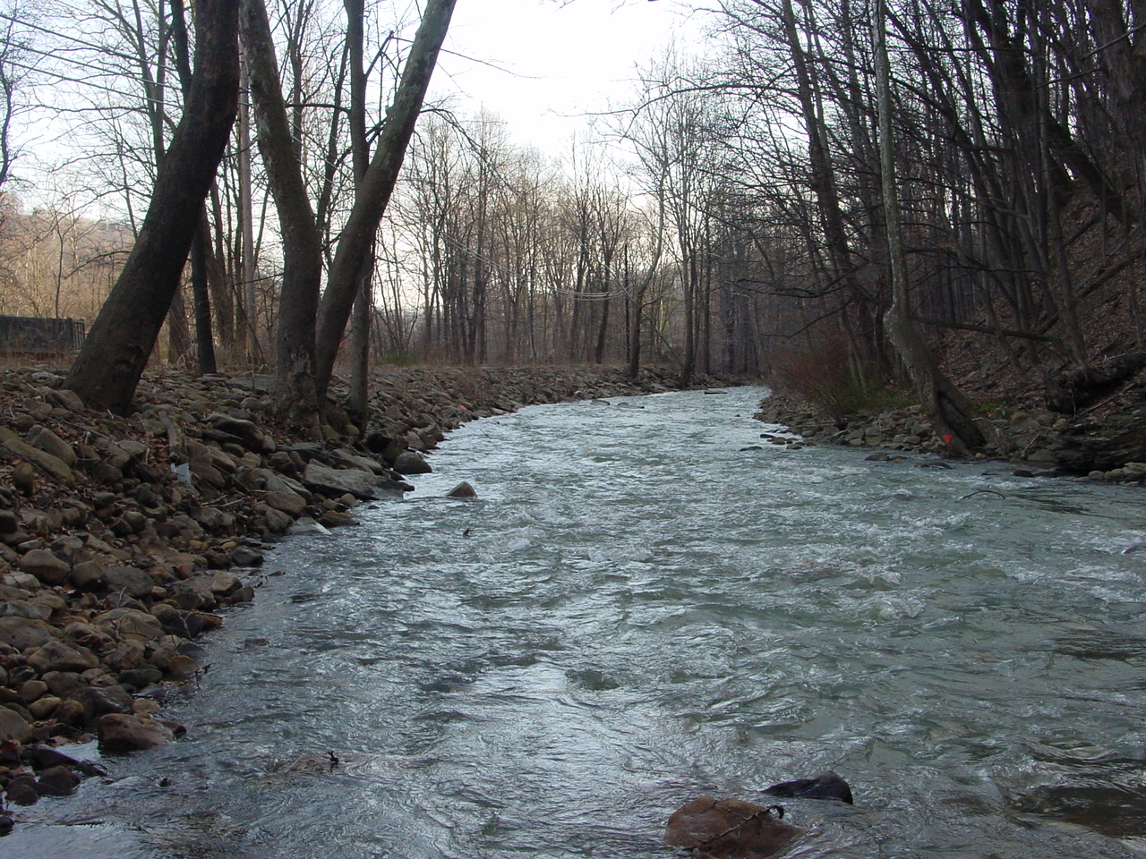 Field photo showing stream conditions at site GEOR-315-R-2003-1