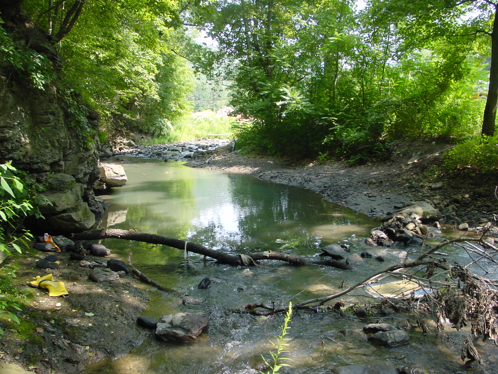 Field photo showing stream conditions at site GEOR-315-R-2003-4