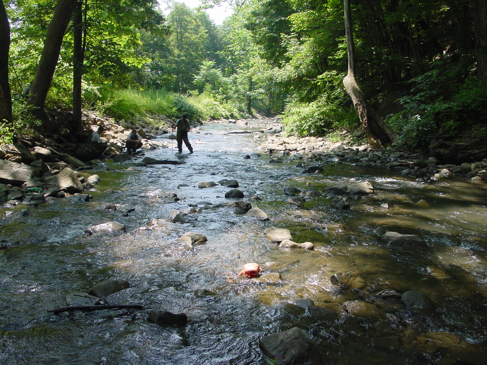 Field photo showing stream conditions at site GEOR-315-R-2003-5