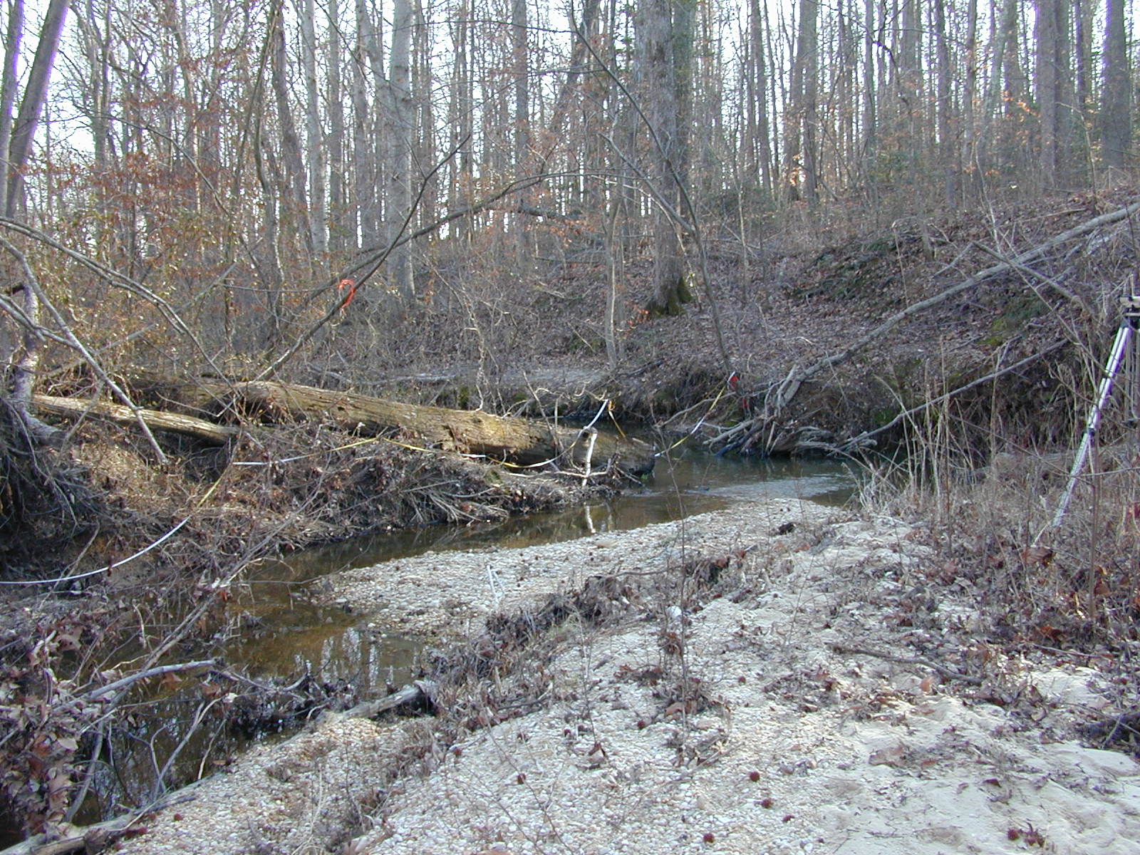 Field photo showing stream conditions at site GILB-101-R-2001-12