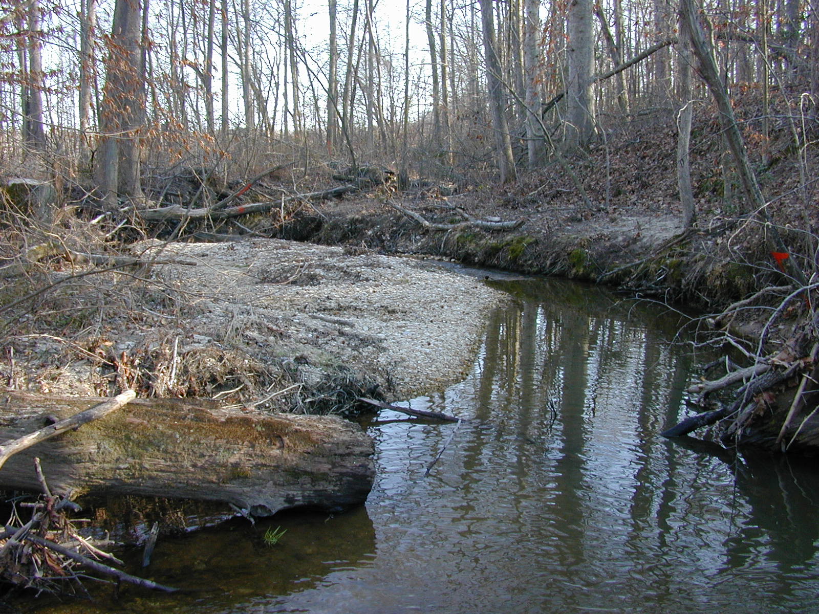 Field photo showing stream conditions at site GILB-101-R-2001-15