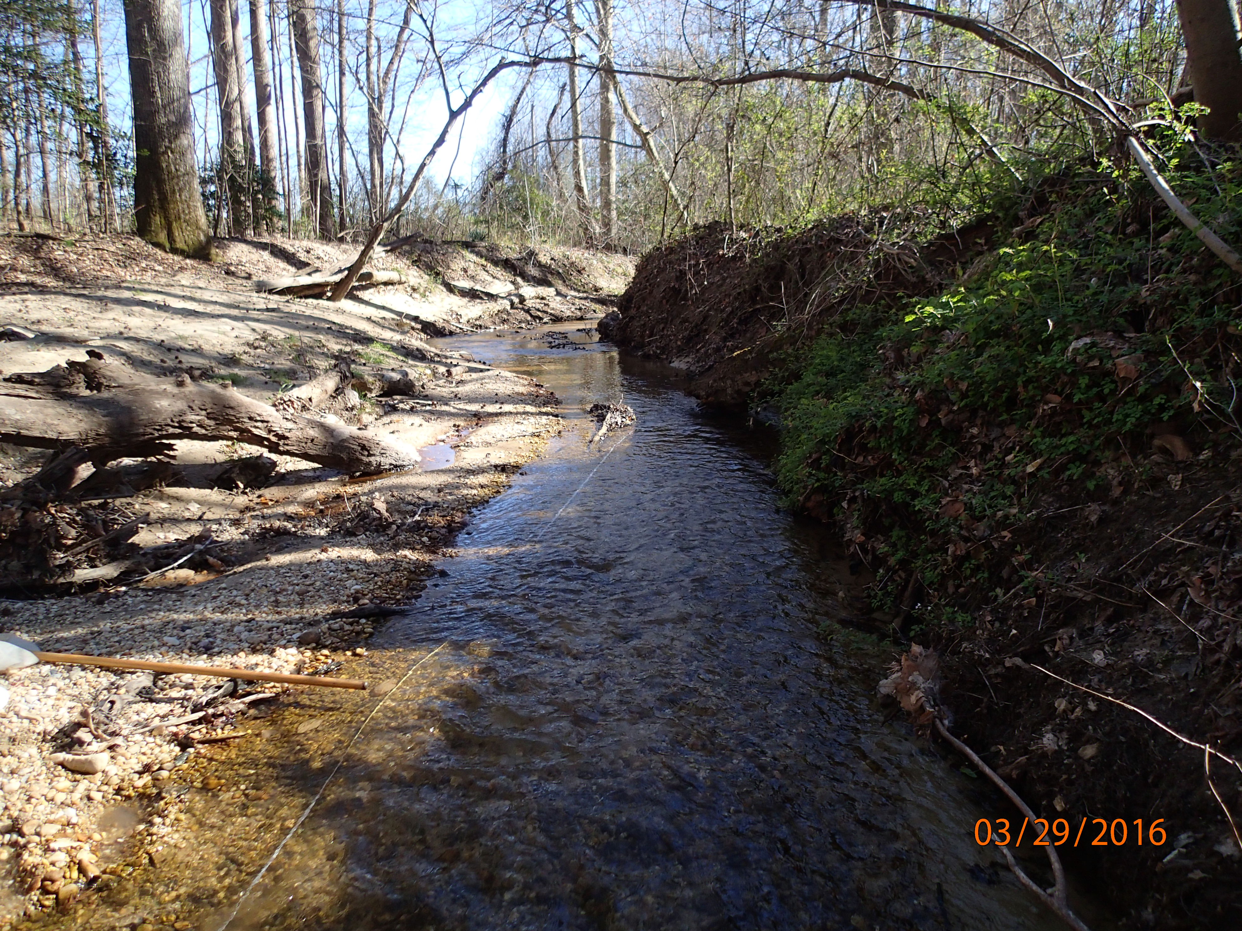 Field photo showing stream conditions at site GILB-101-X-2016-MidpointDownstream