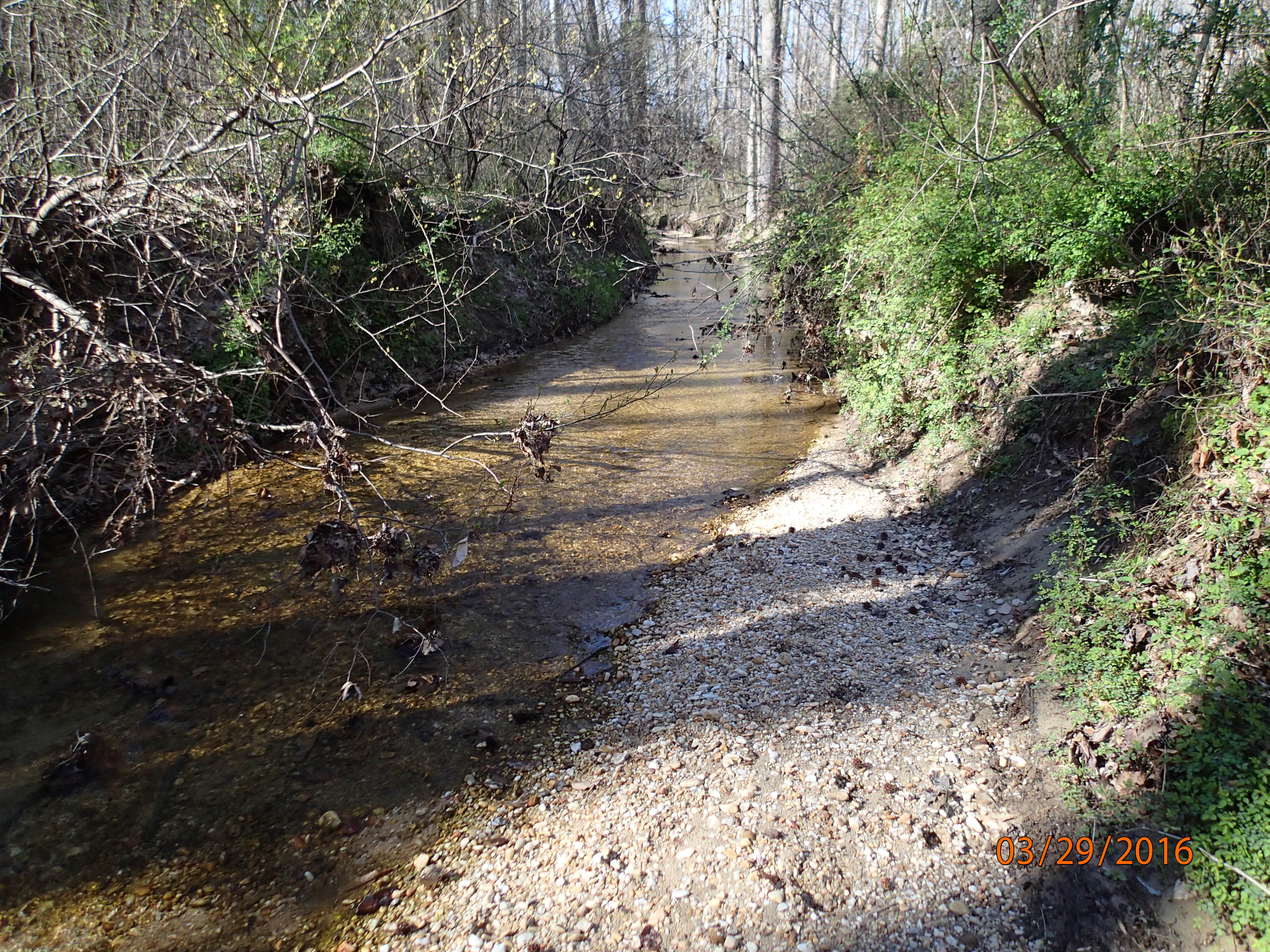 Field photo showing stream conditions at site GILB-101-X-2016-MidpointUpstream