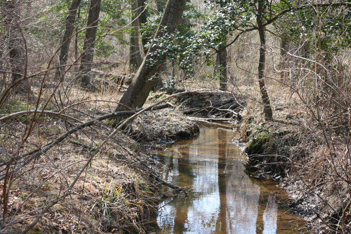 Field photo showing stream conditions at site GILB-102-R-2009-1