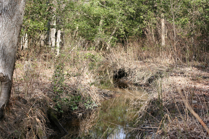 Field photo showing stream conditions at site GILB-102-R-2009-2