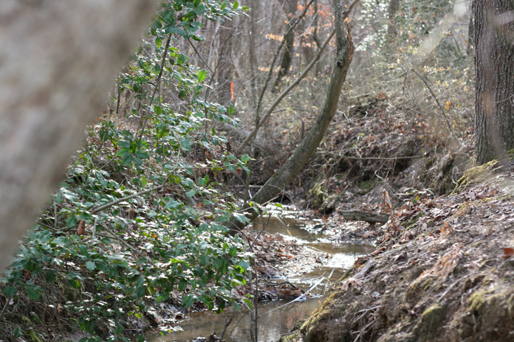 Field photo showing stream conditions at site GILB-103-R-2009-1