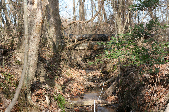 Field photo showing stream conditions at site GILB-103-R-2009-2