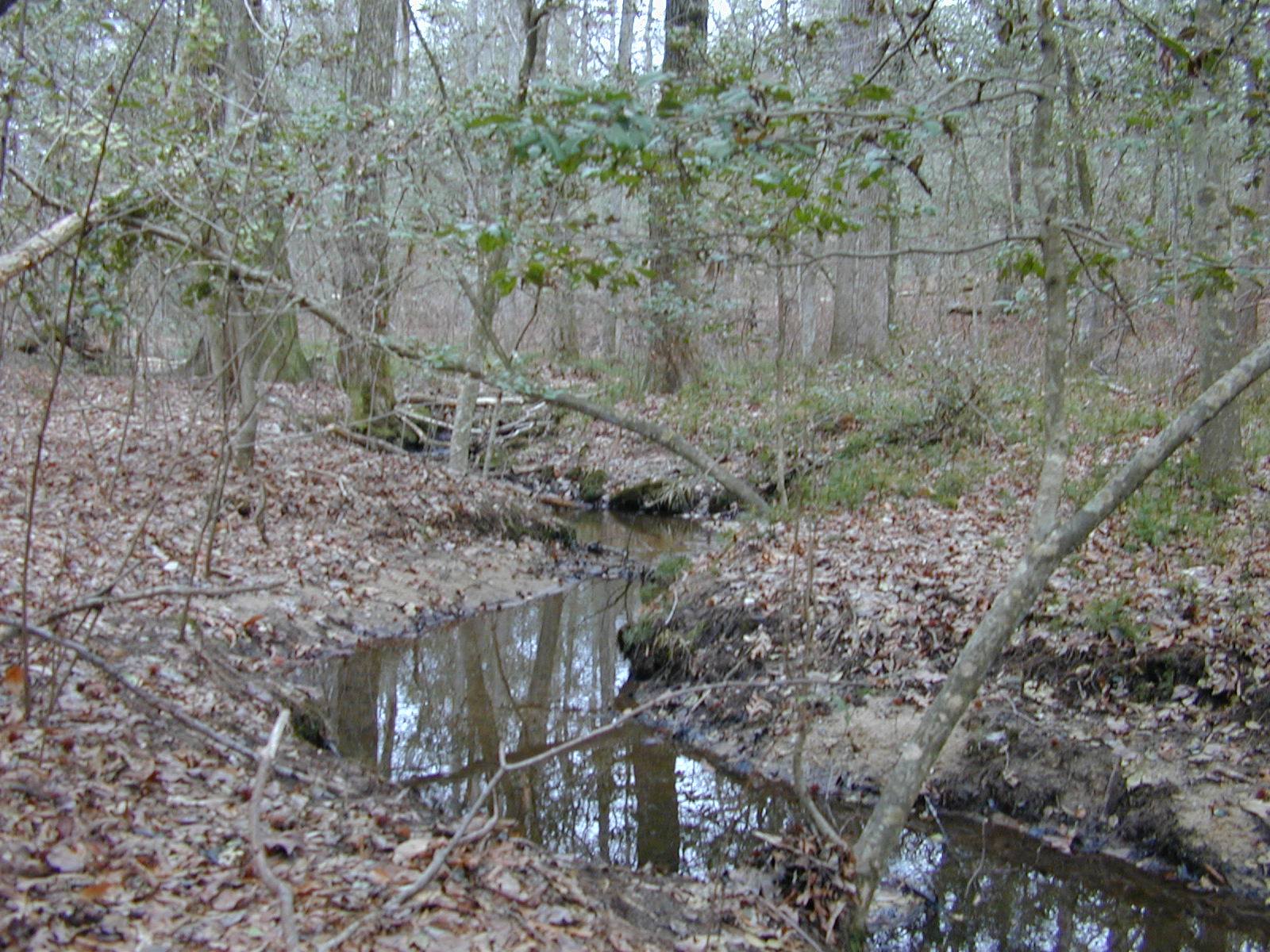 Field photo showing stream conditions at site GILB-108-R-2001-25