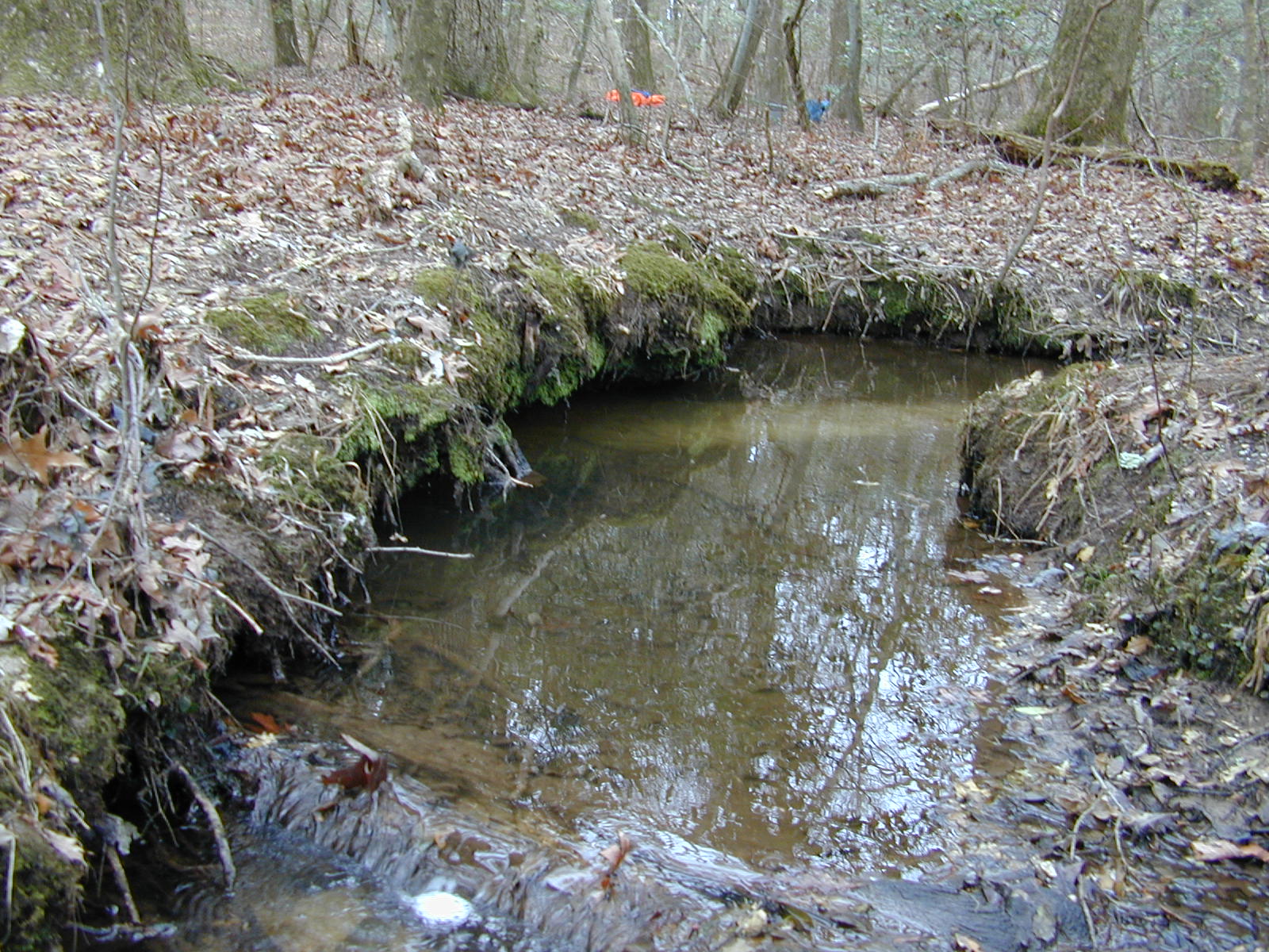 Field photo showing stream conditions at site GILB-108-R-2001-27