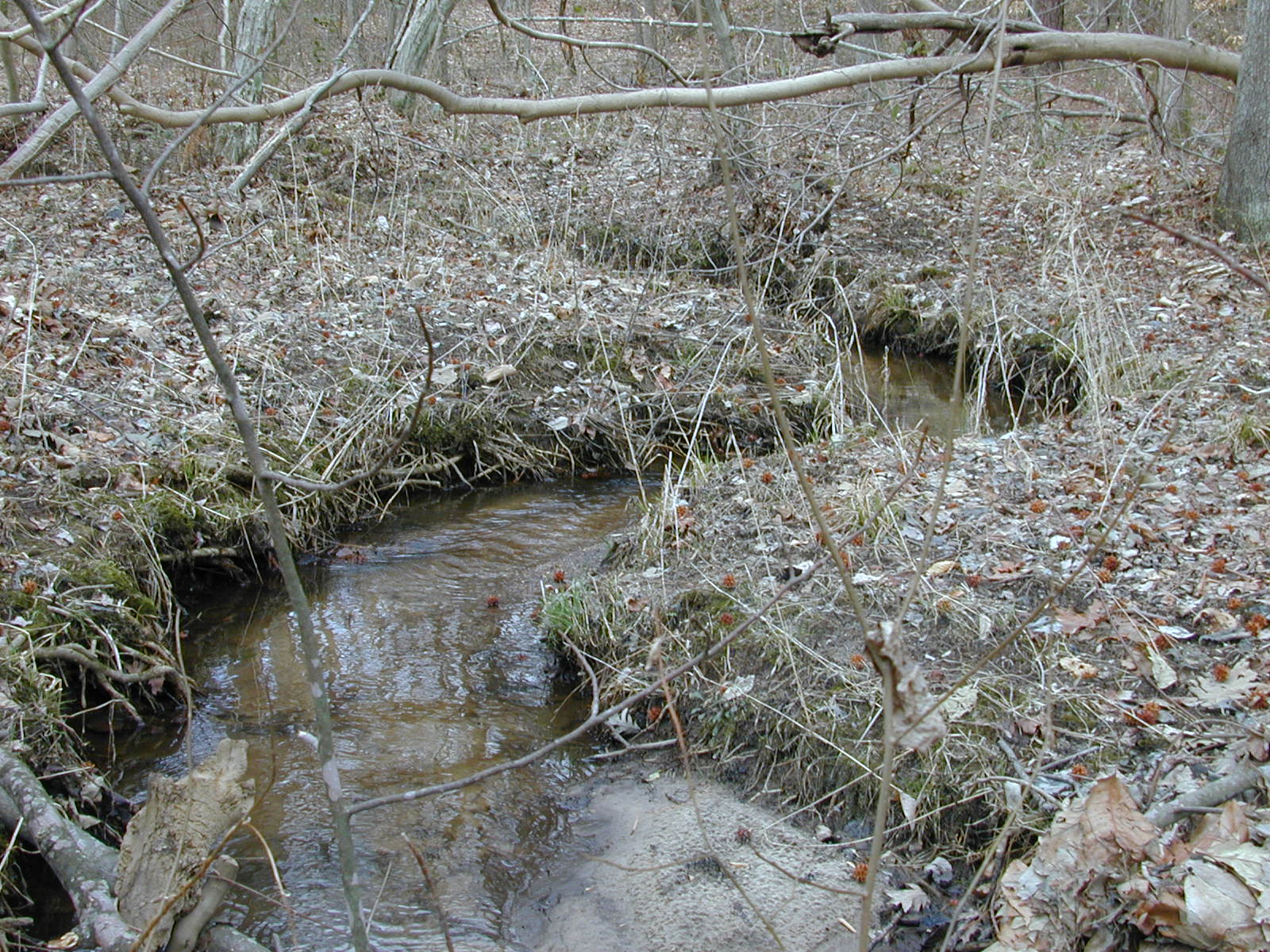 Field photo showing stream conditions at site GILB-109-R-2001-30