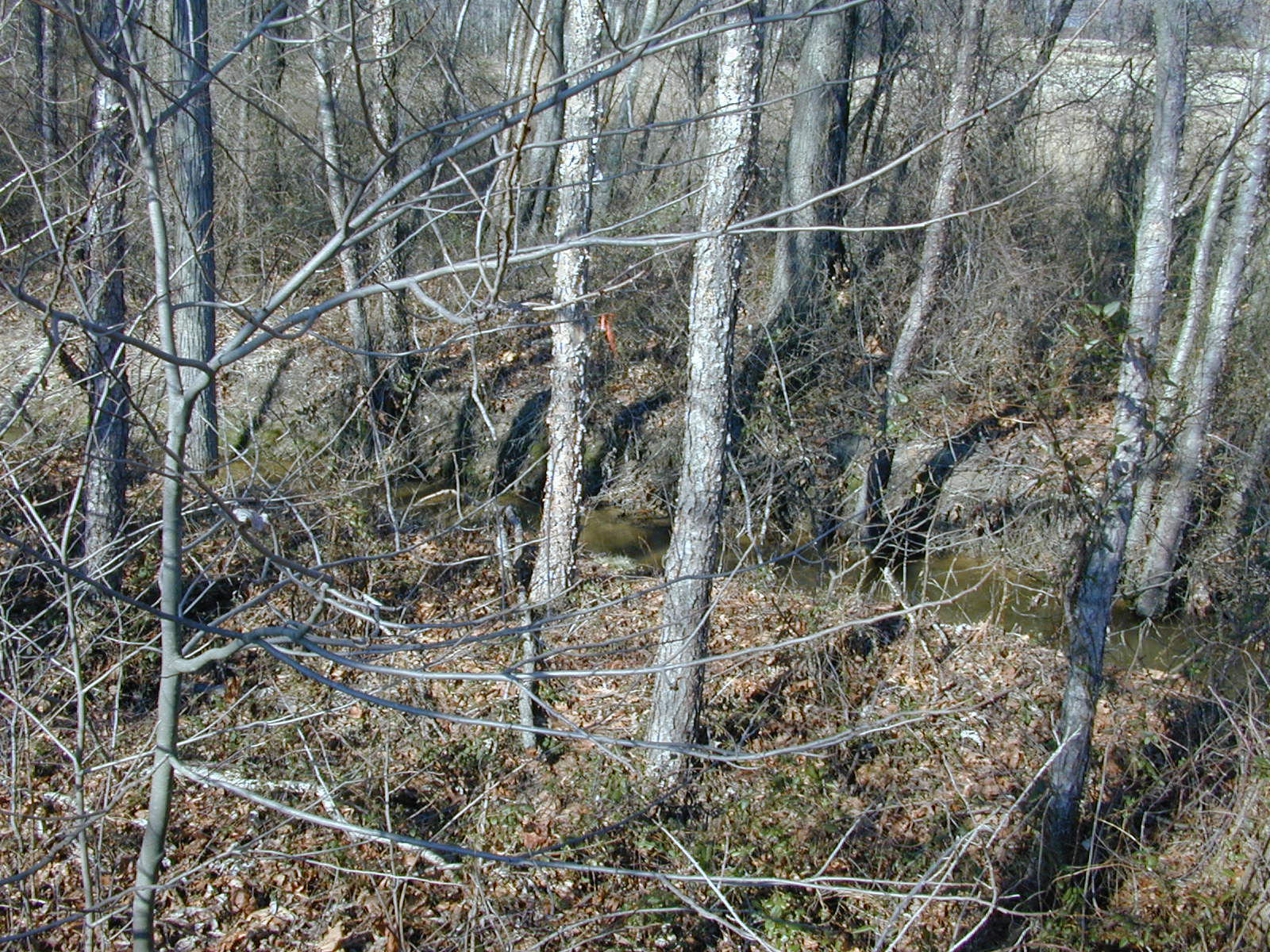 Field photo showing stream conditions at site GILB-111-R-2001-10