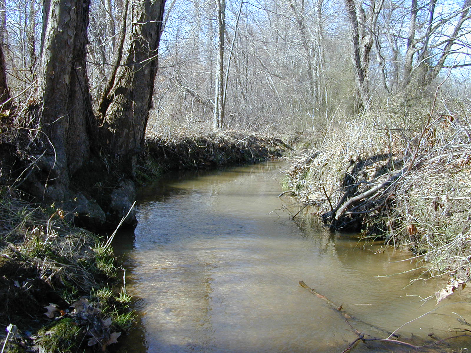 Field photo showing stream conditions at site GILB-111-R-2001-11