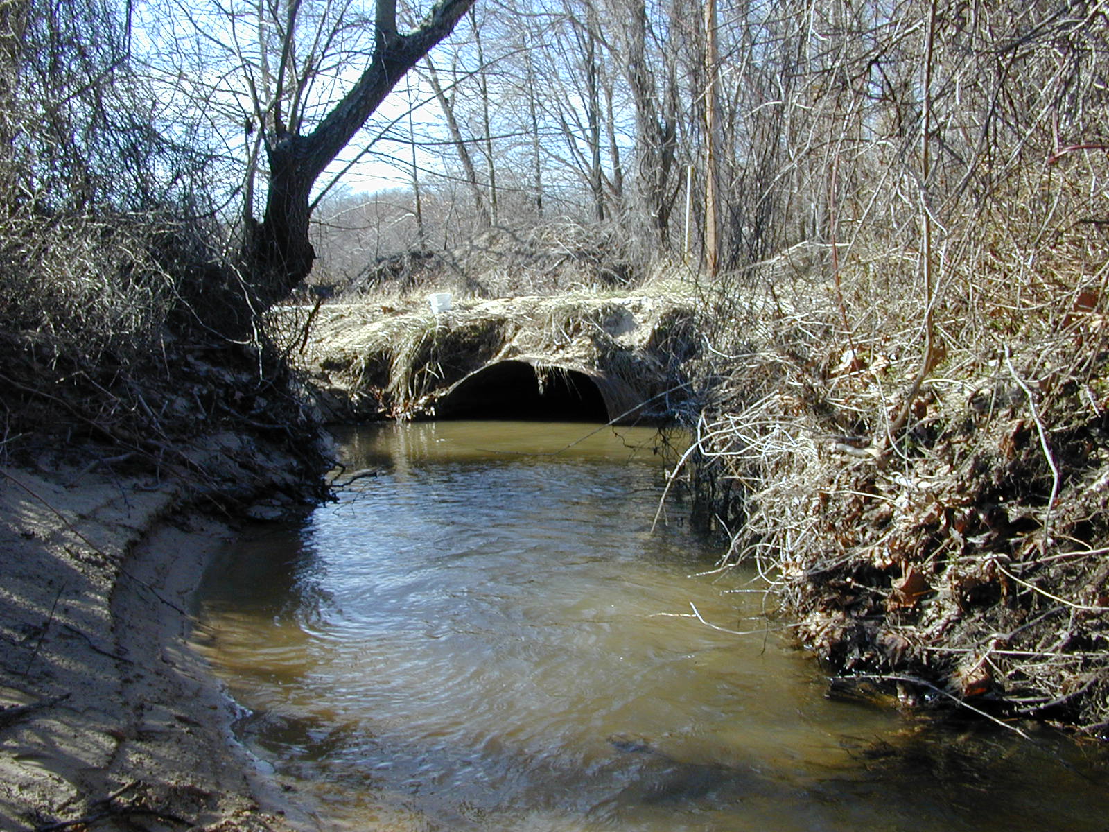 Field photo showing stream conditions at site GILB-111-R-2001-9