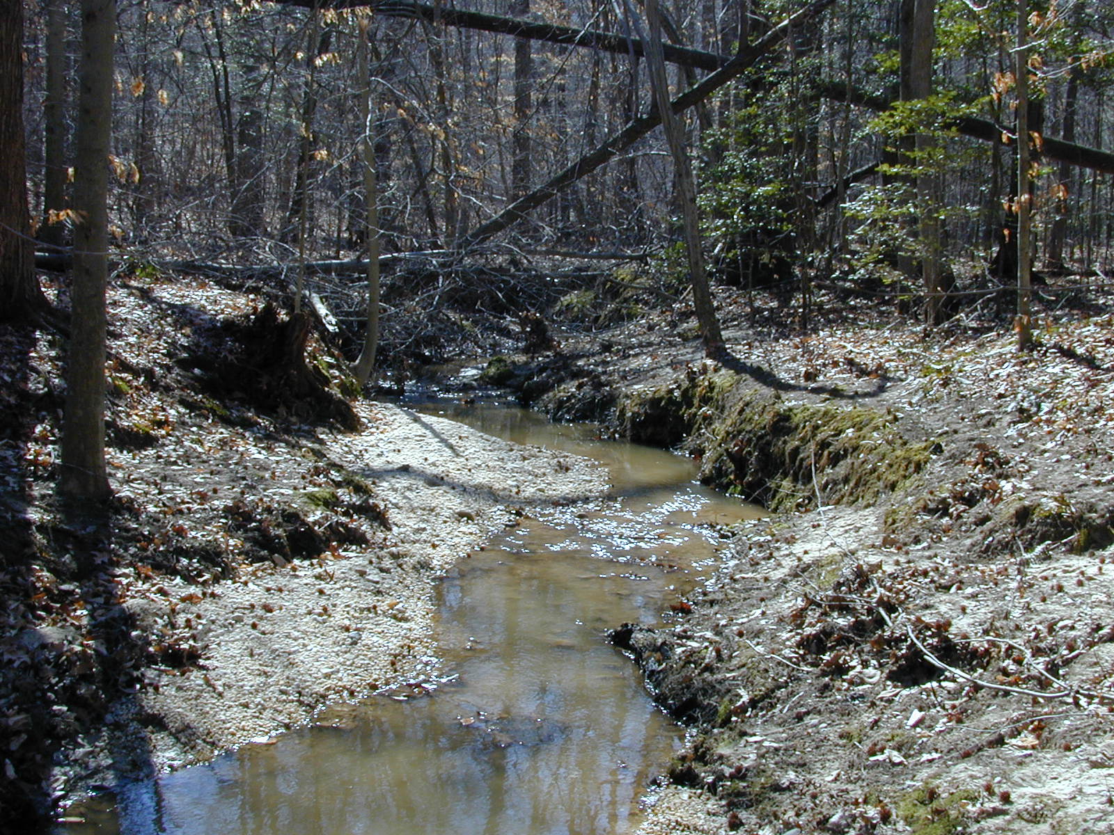 Field photo showing stream conditions at site GILB-112-R-2001-5