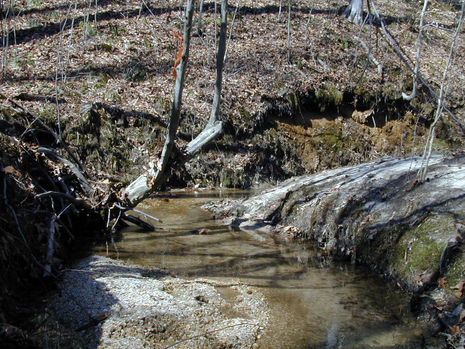 Field photo showing stream conditions at site GILB-112-R-2001-7