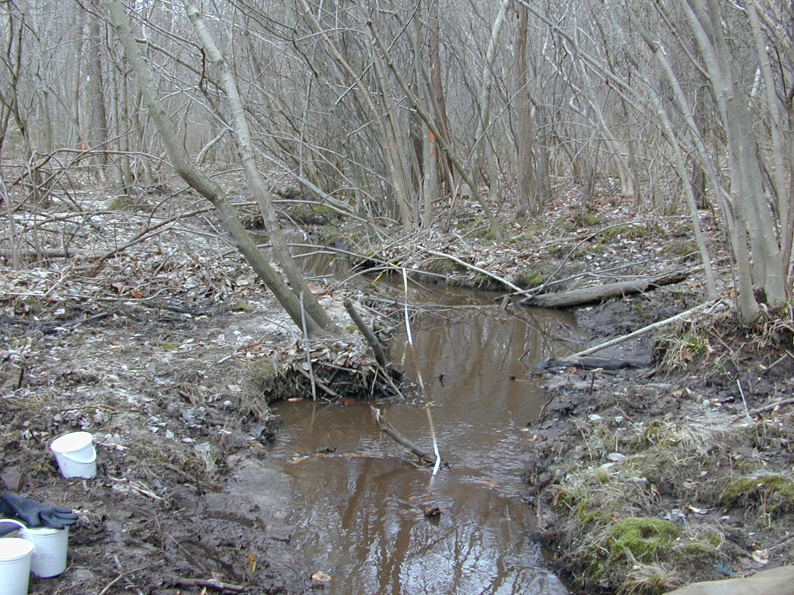 Field photo showing stream conditions at site GILB-114-R-2001-32