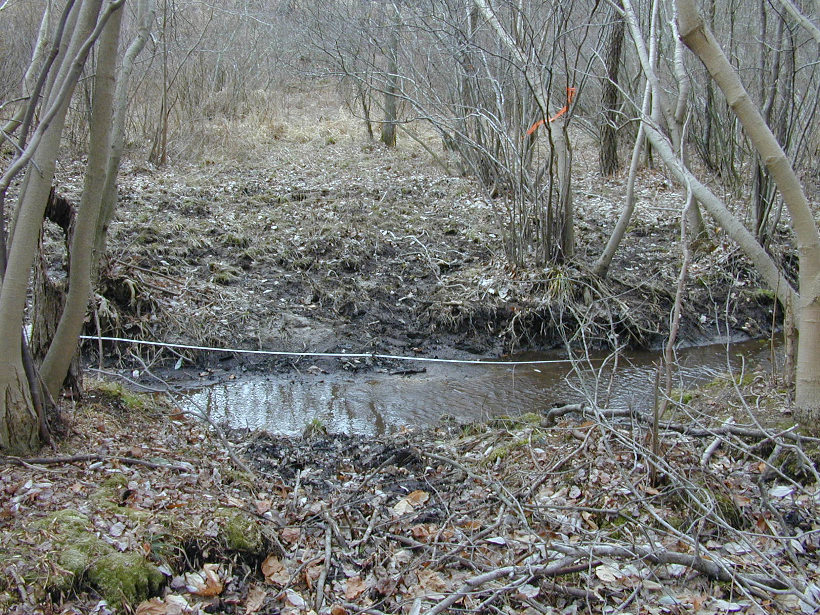 Field photo showing stream conditions at site GILB-114-R-2001-33