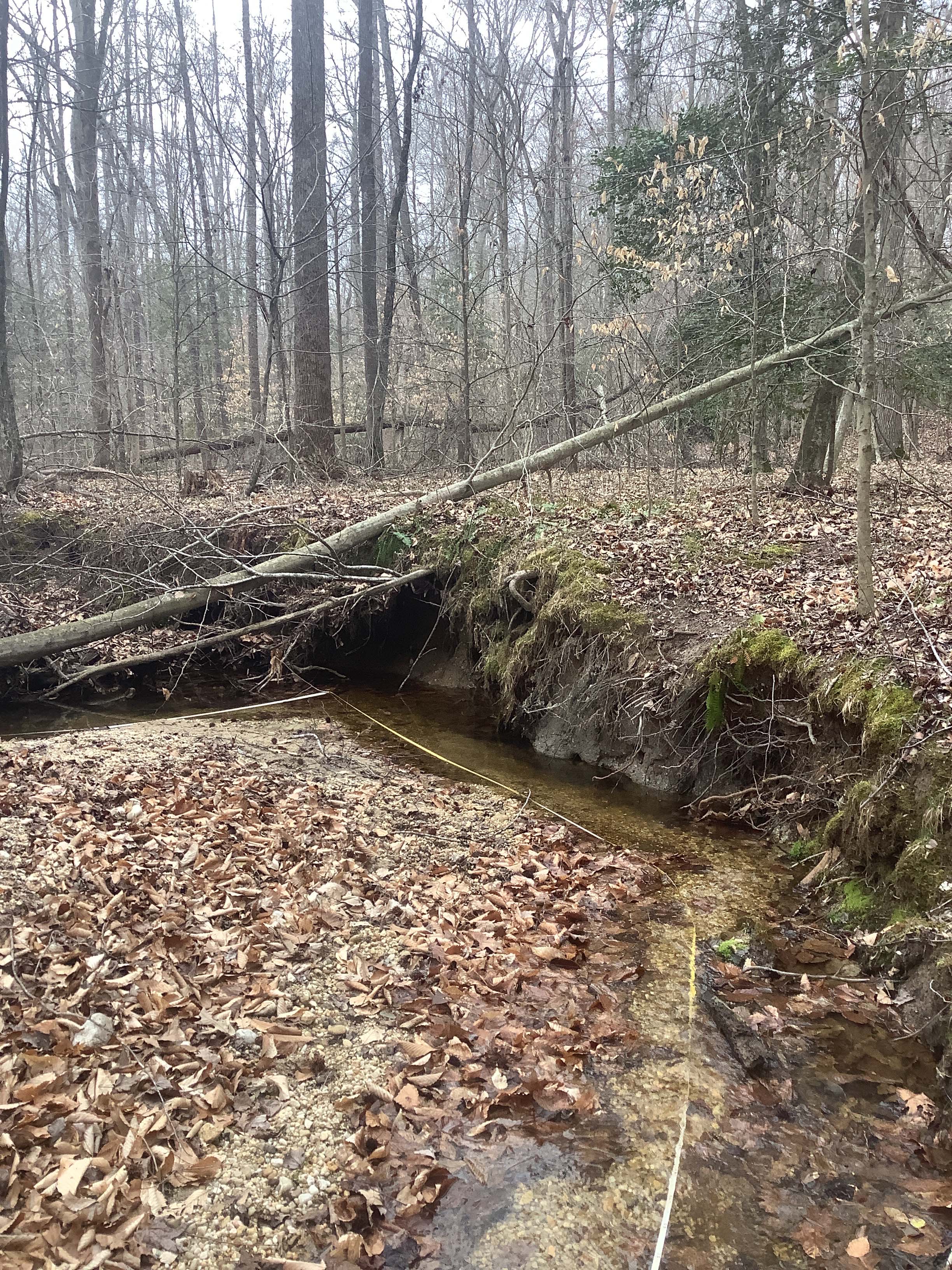 Field photo showing stream conditions at site GILB-121-R-2023_Midpoint_facing_downstream_