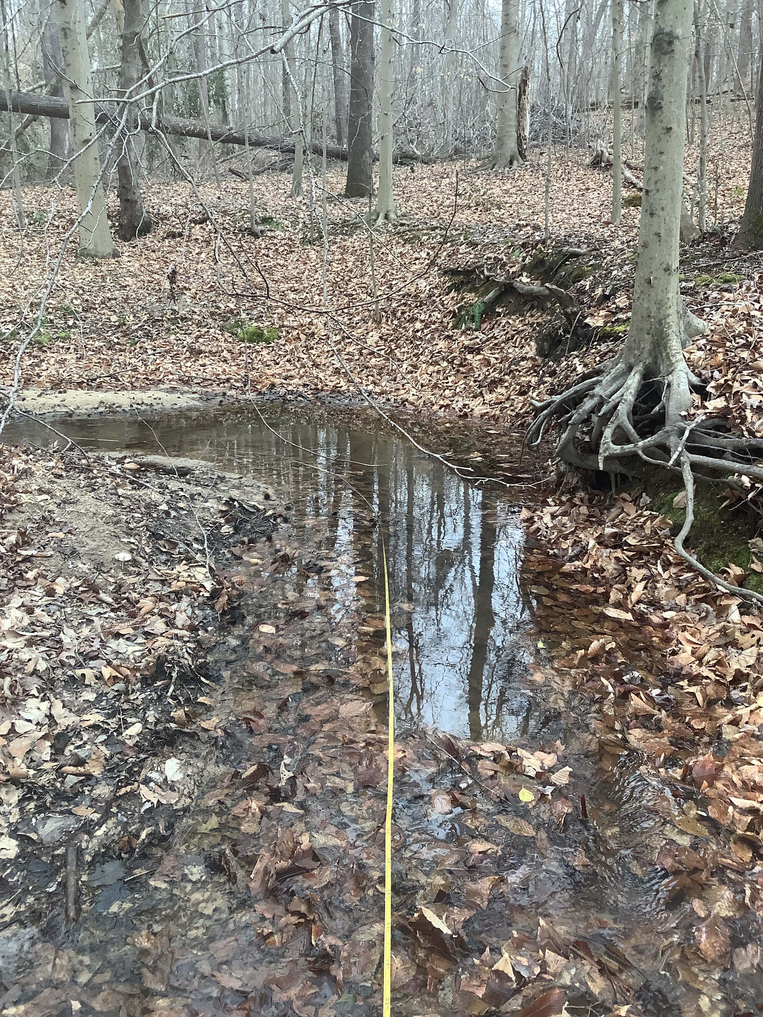 Field photo showing stream conditions at site GILB-121-R-2023_Midpoint_facing_upstream_