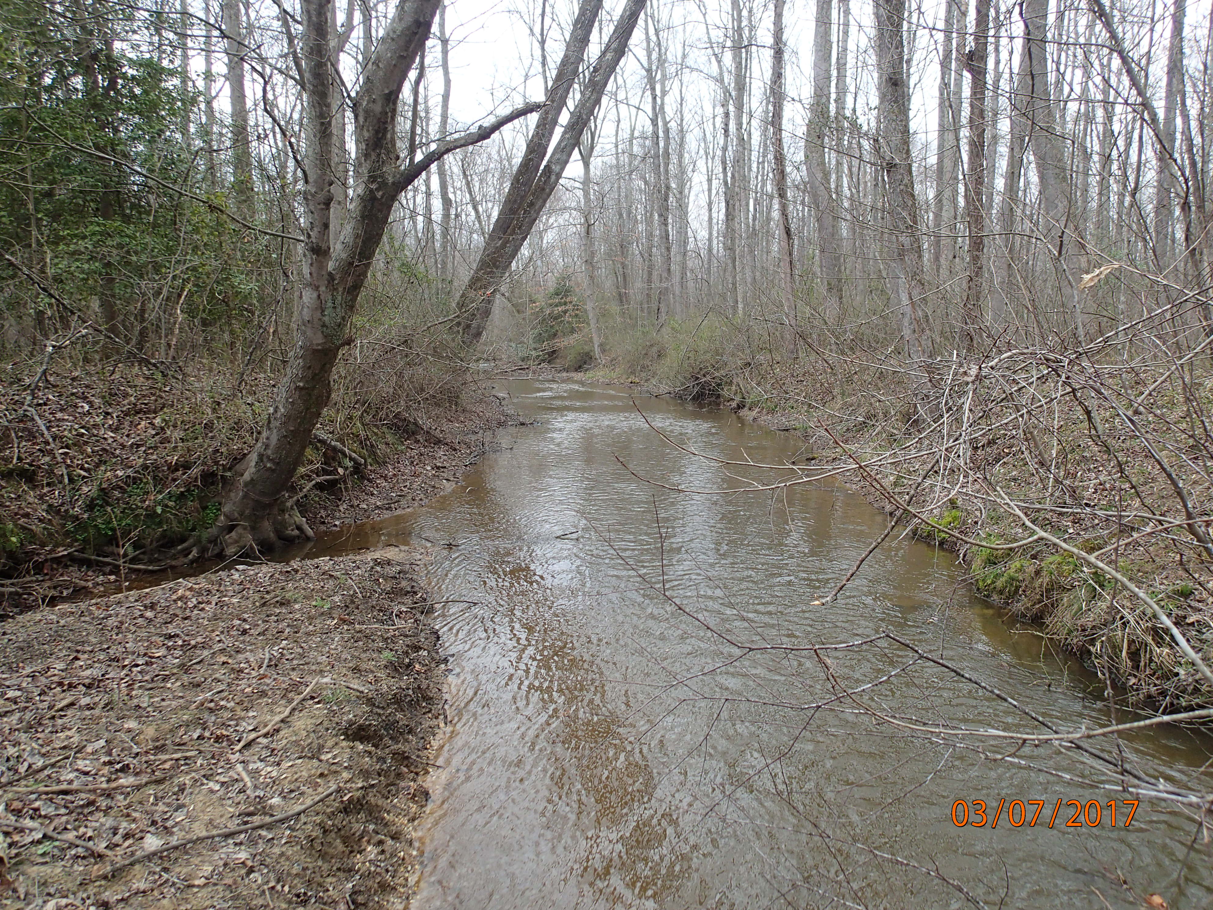Field photo showing stream conditions at site GILB-201-X-2017-MidpointDownstream