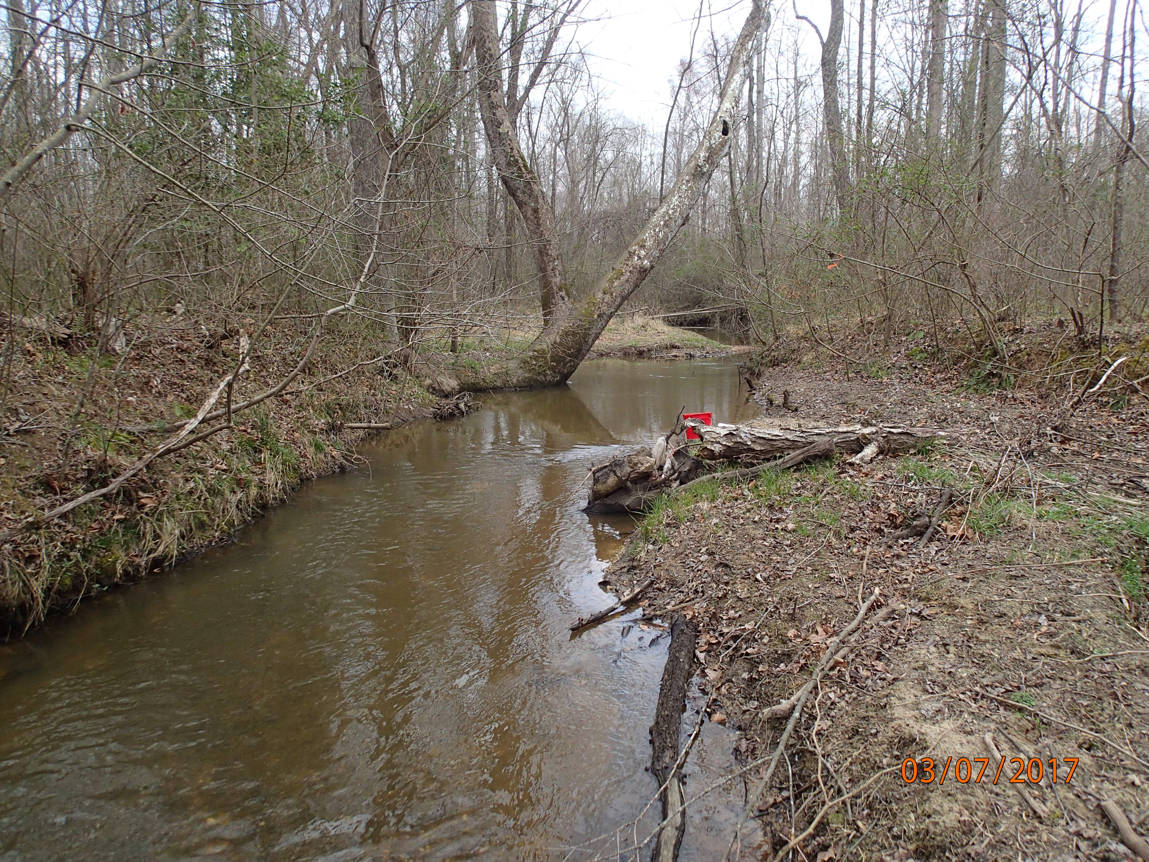 Field photo showing stream conditions at site GILB-201-X-2017-MidpointUpstream