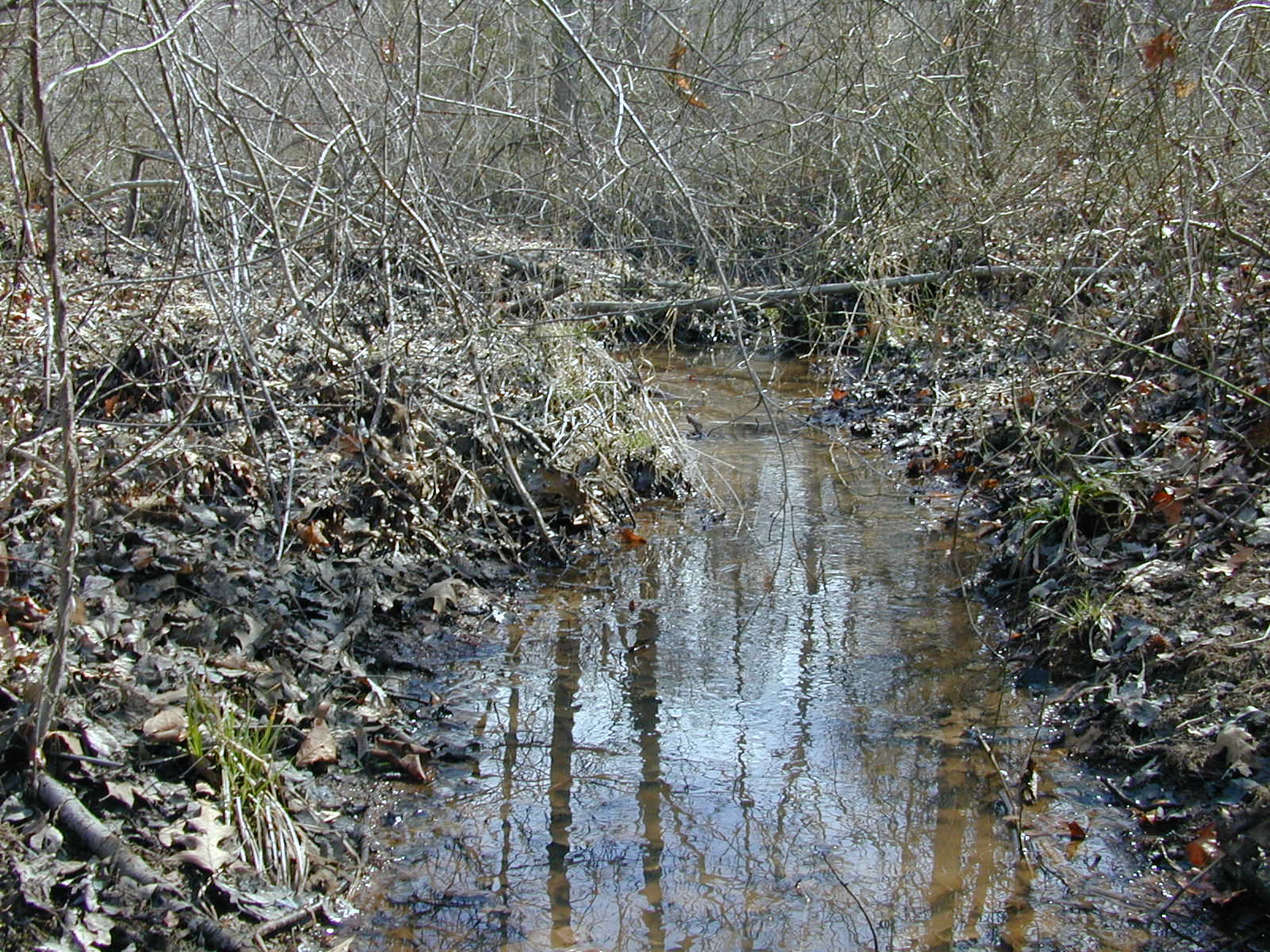 Field photo showing stream conditions at site GILB-213-R-2001-20