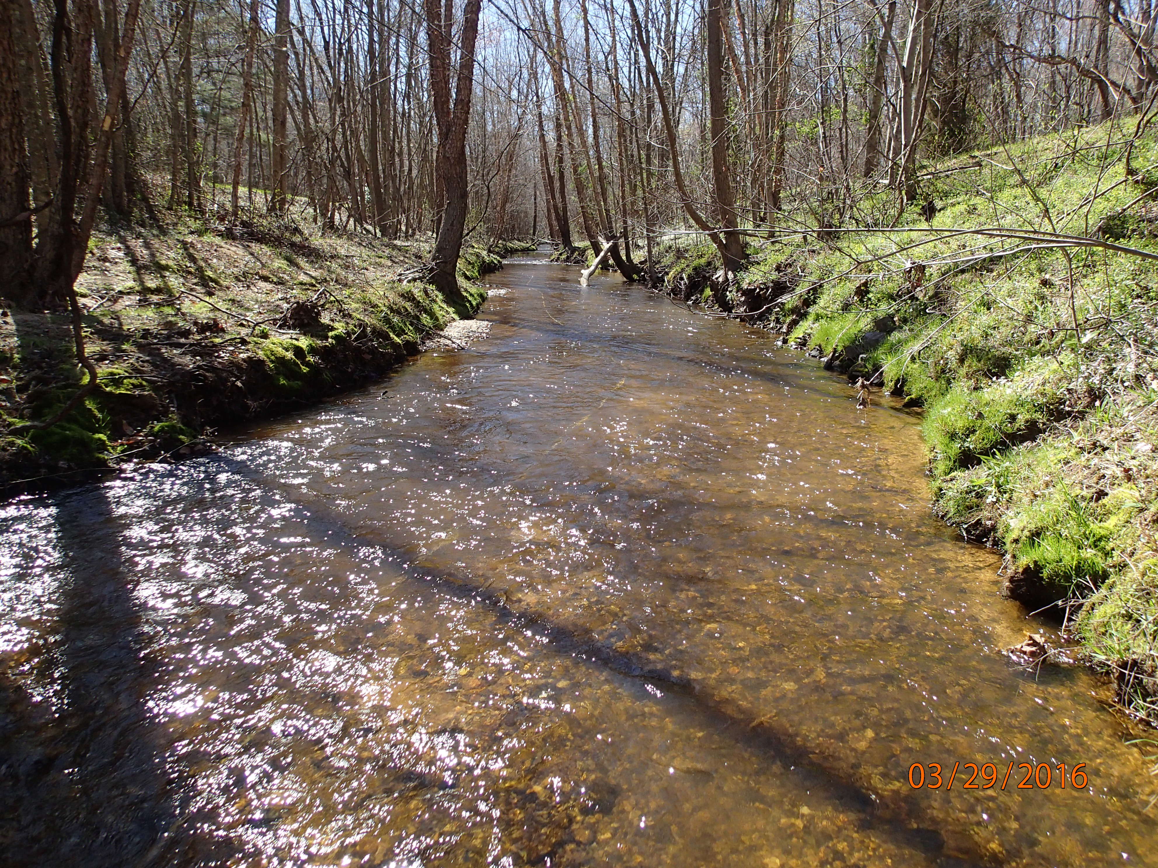 Field photo showing stream conditions at site GILB-301-X-2016-MidpointDownstream