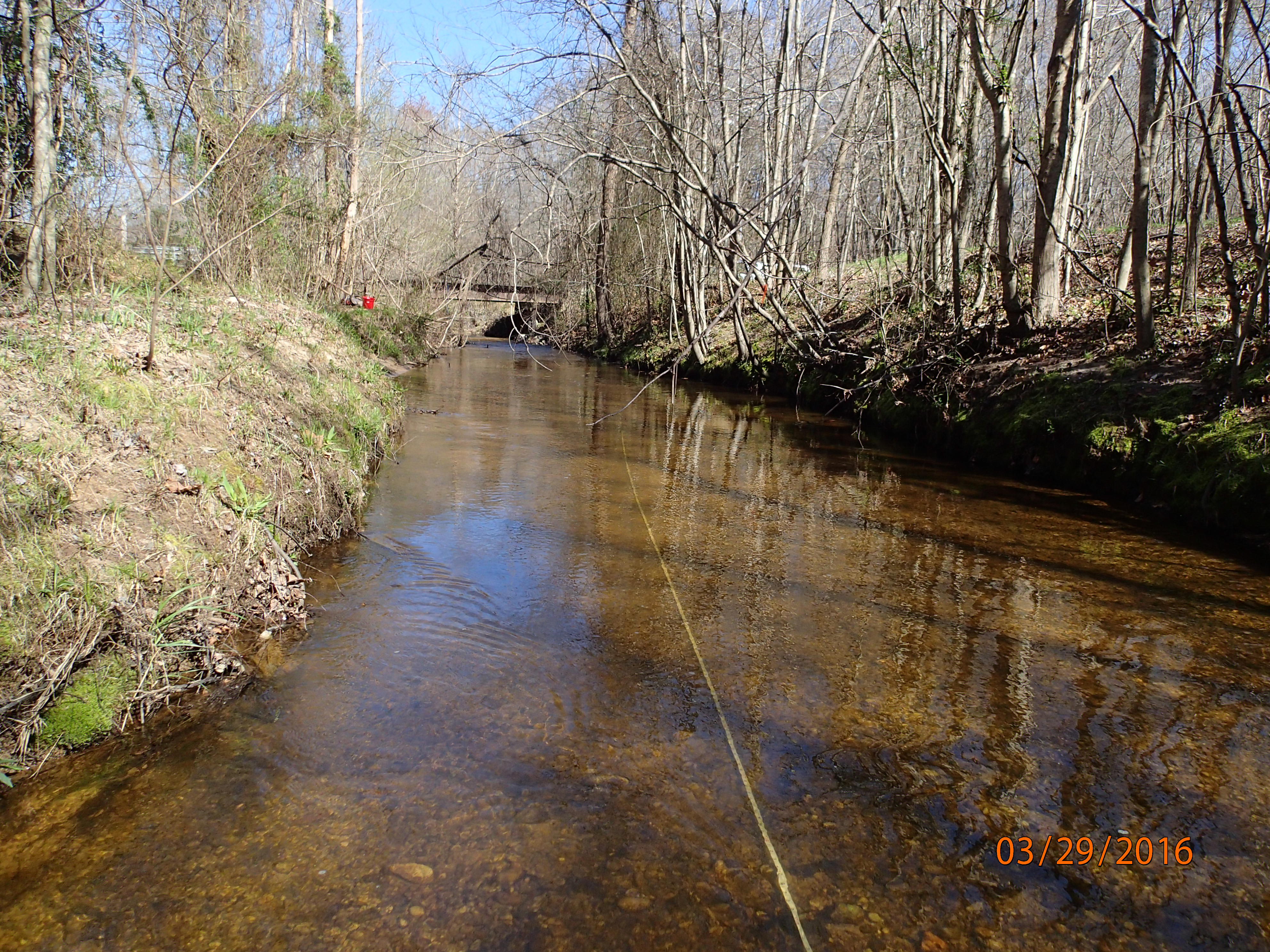 Field photo showing stream conditions at site GILB-301-X-2016-MidpointUpstream