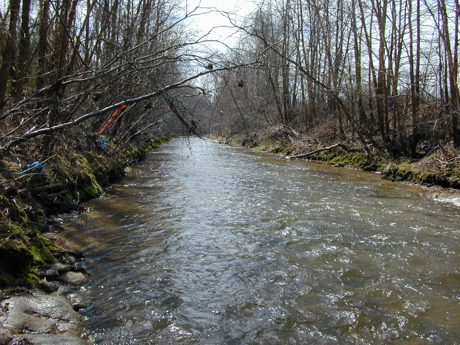 Field photo showing stream conditions at site GILB-306-R-2001-37