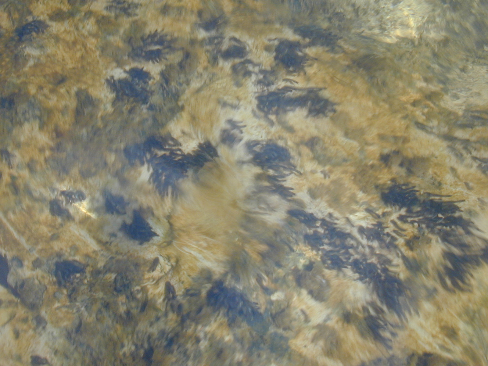 Field photo showing stream conditions at site GILB-306-R-2001-38