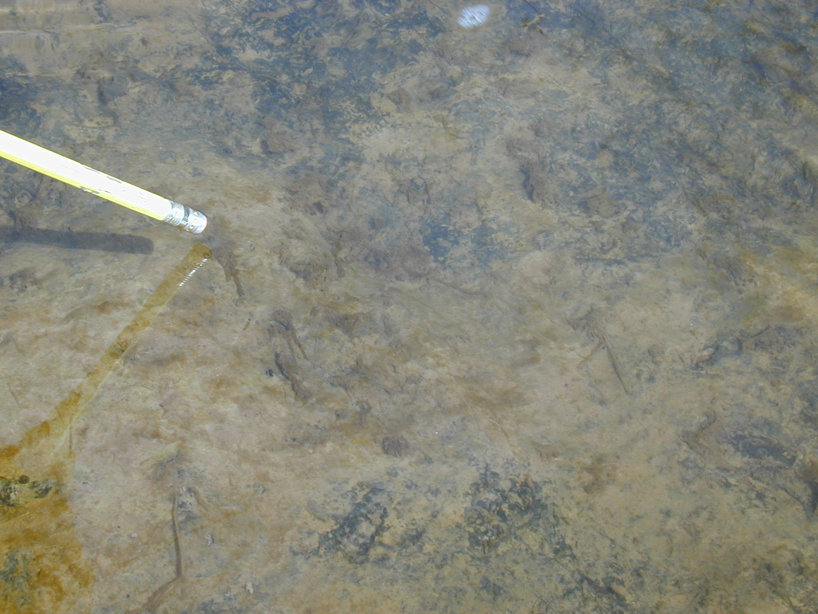 Field photo showing stream conditions at site GILB-306-R-2001-39