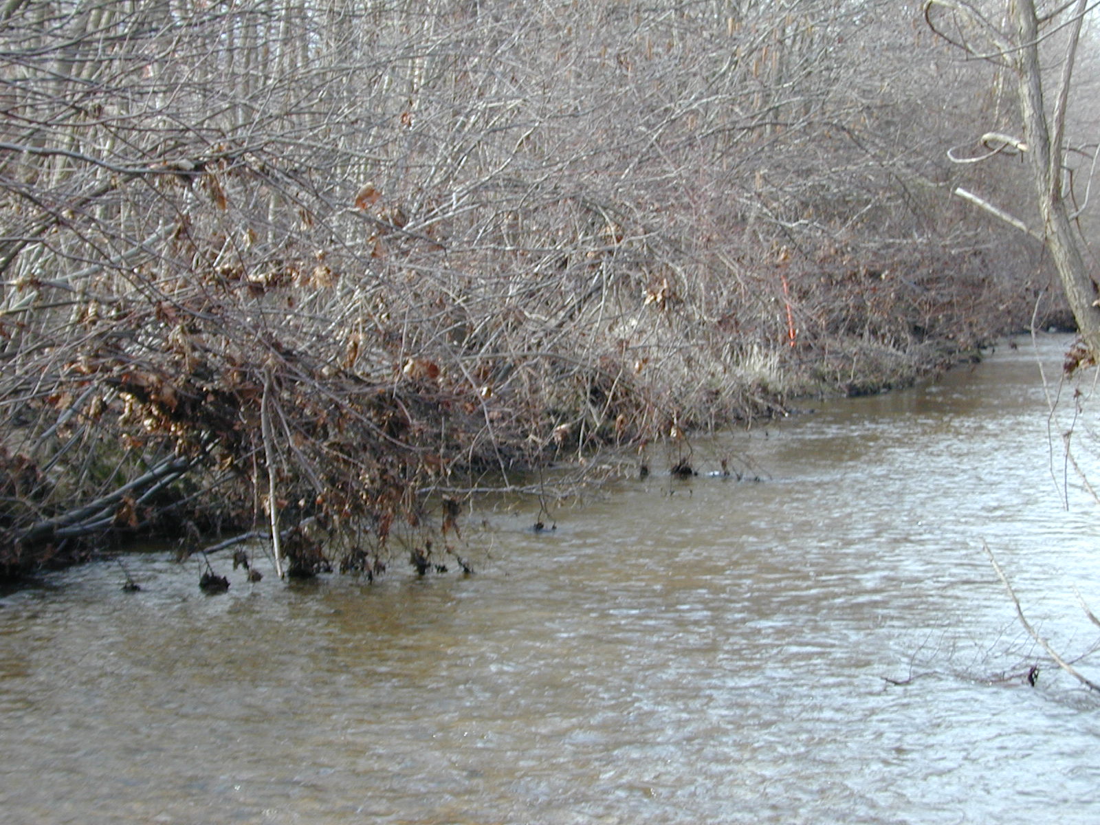 Field photo showing stream conditions at site GILB-307-R-2001-16