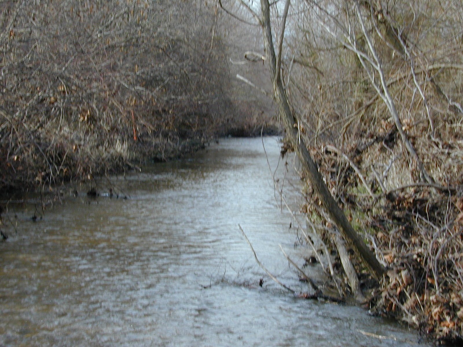 Field photo showing stream conditions at site GILB-307-R-2001-17