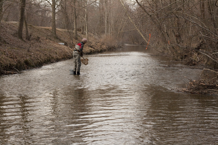 Field photo showing stream conditions at site GILB-308-R-2009-1