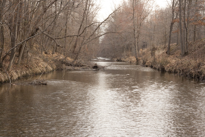 Field photo showing stream conditions at site GILB-308-R-2009-2