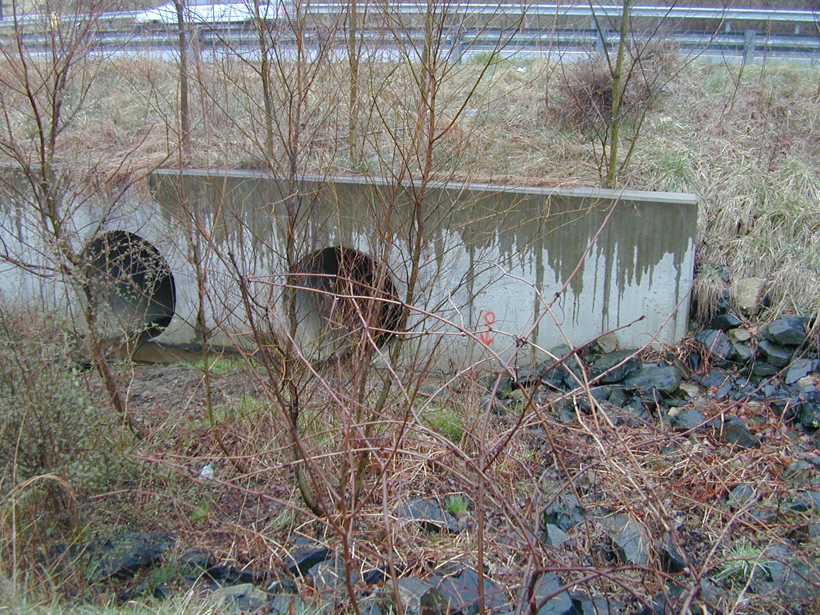 Field photo showing stream conditions at site GUNP-104-R-2002-461