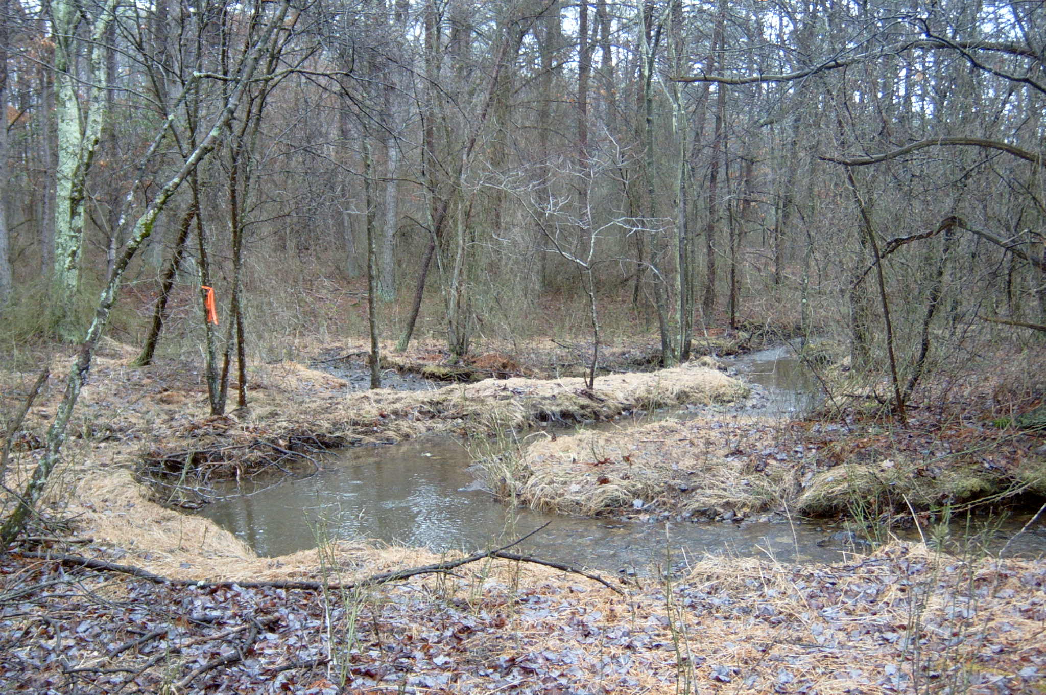 Field photo showing stream conditions at site GWYN-102-R-2004-111
