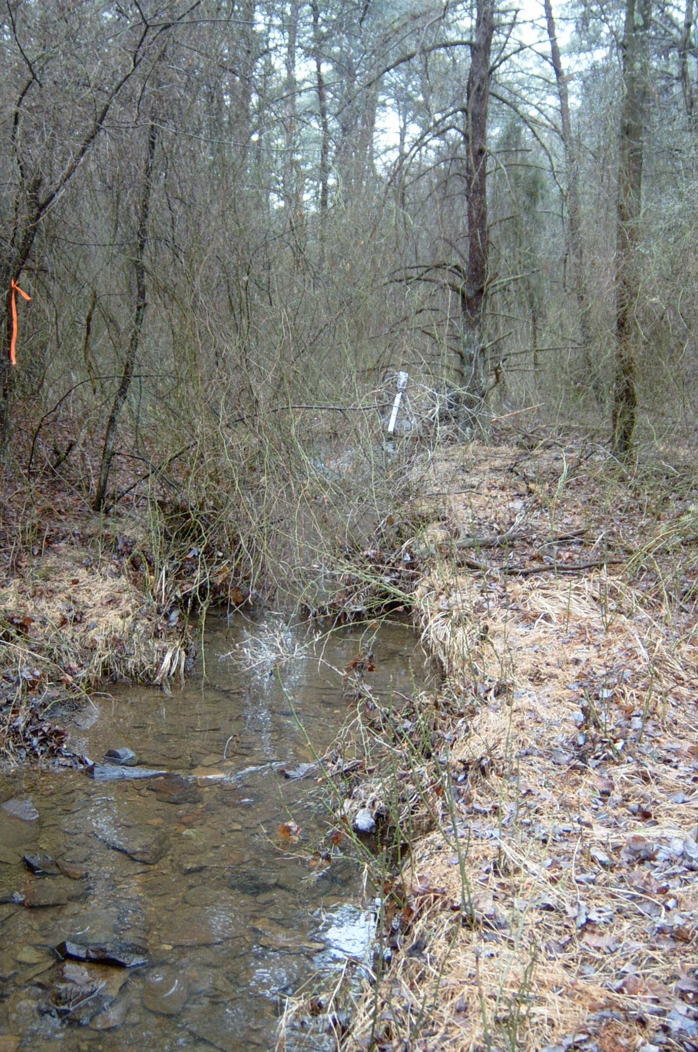 Field photo showing stream conditions at site GWYN-102-R-2004-112